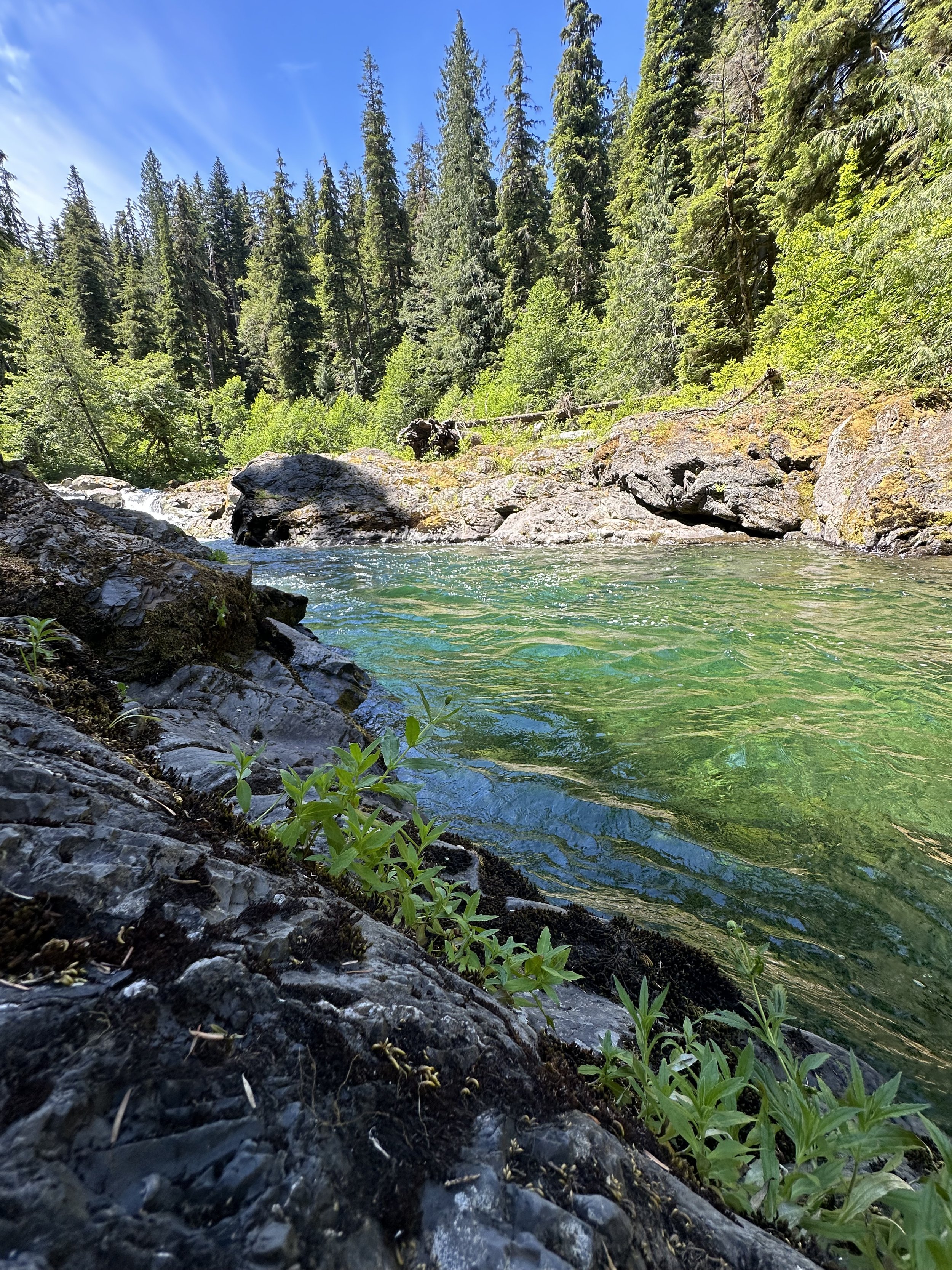 Olympic National Park, 2024