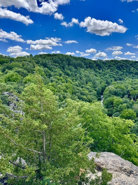 Scenic view of the Whitewater River Valley from the bluffs of Whitewater State Park in southeast Minnesota, showcasing forest-covered ridges and the park’s rugged Bluff Country landscape.