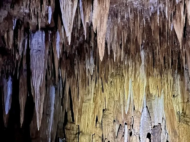 Ceiling of Fisher Cave in Missouri covered with dense stalactites hanging above the cave passage.
