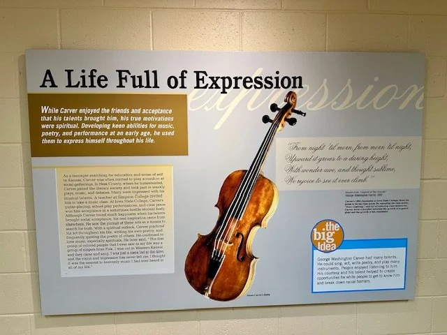 A-Life-Full-of-Expression
