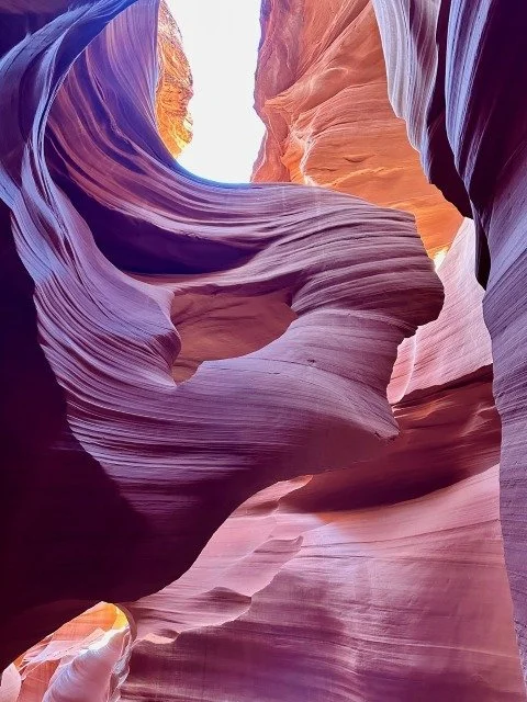 Swirling rose-colored sandstone formation inside Lower Antelope Canyon resembling a human profile, with natural light streaming through an opening above.