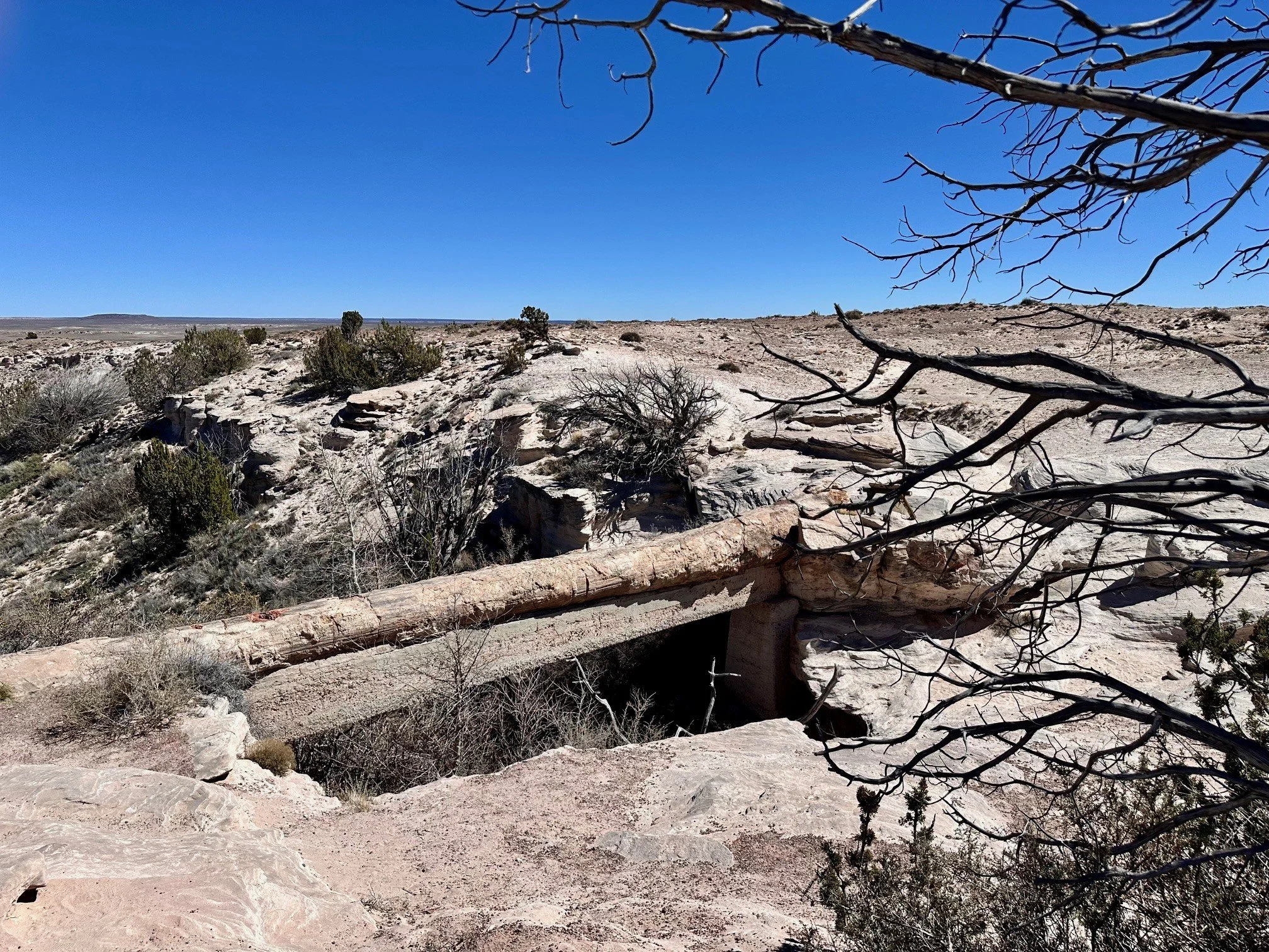 The 110‑foot Agate Bridge in Petrified Forest National Park, a massive petrified log spanning a desert gully and showcasing the park’s stunning blend of geology and history.