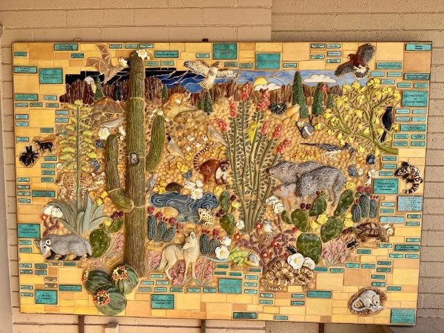 Mosaic image showing desert flora and fauna in Saguaro National Park, Arizona, highlighting the variety of plant and animal life visitors encounter while exploring the park.