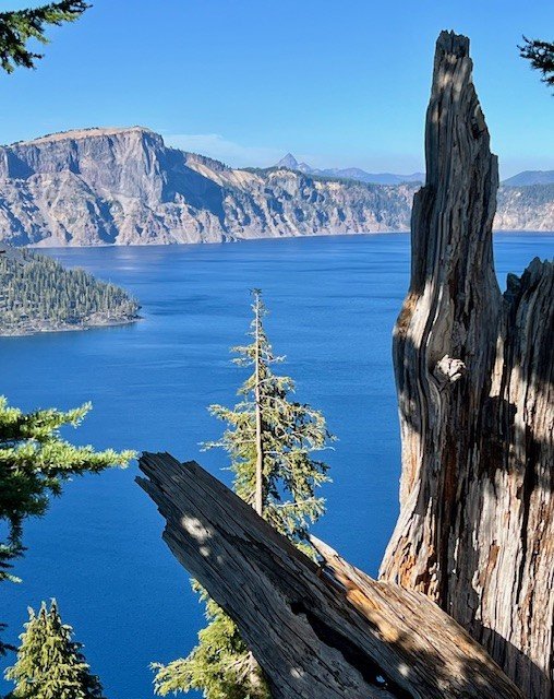 View of Crater Lake through pine trees with deep blue water and surrounding cliffs in Oregon.