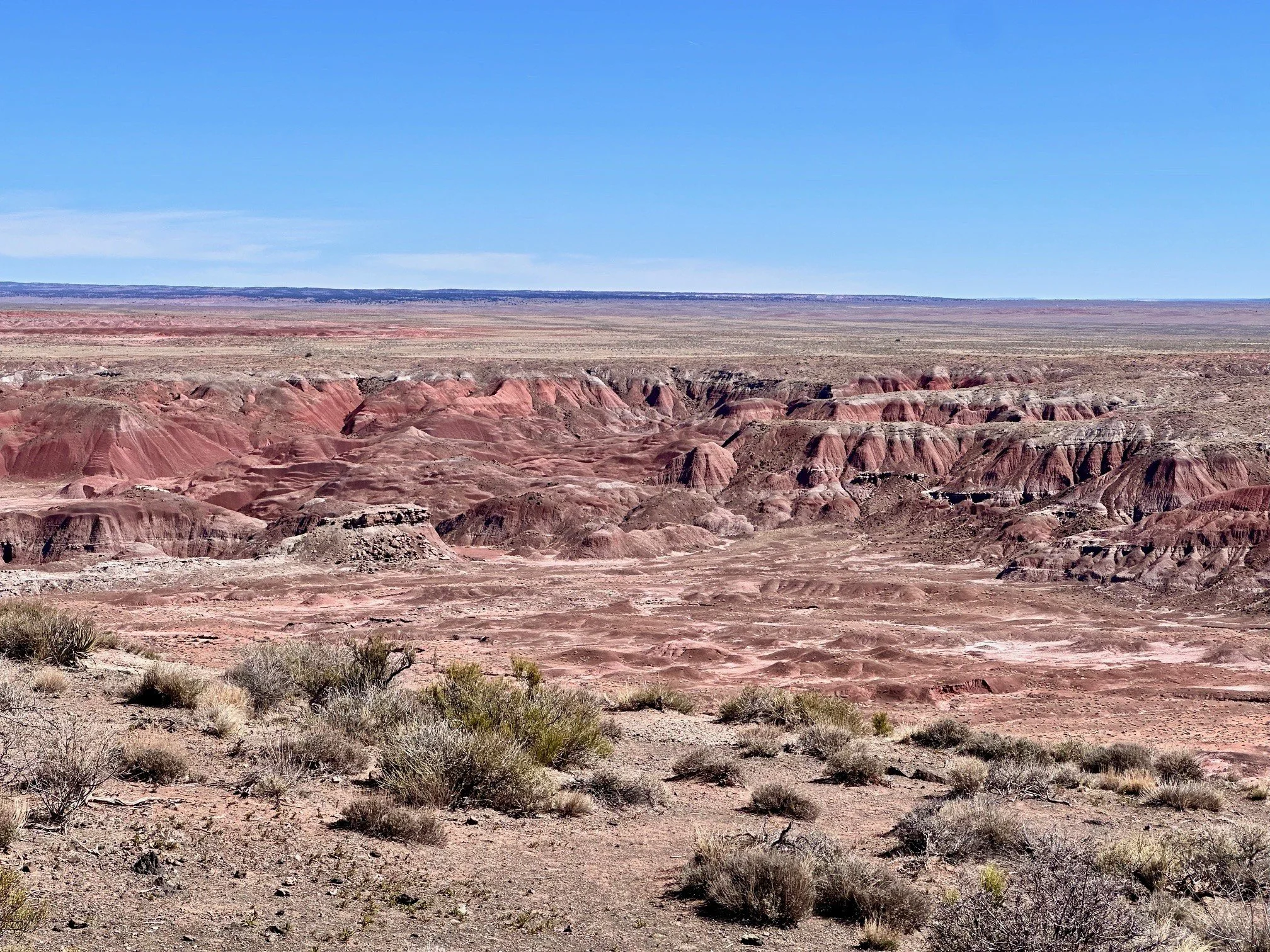 Sweeping desert colors along the Painted Desert Rim Trail in Petrified Forest National Park, with layered hills and wide‑open views stretching toward the horizon.