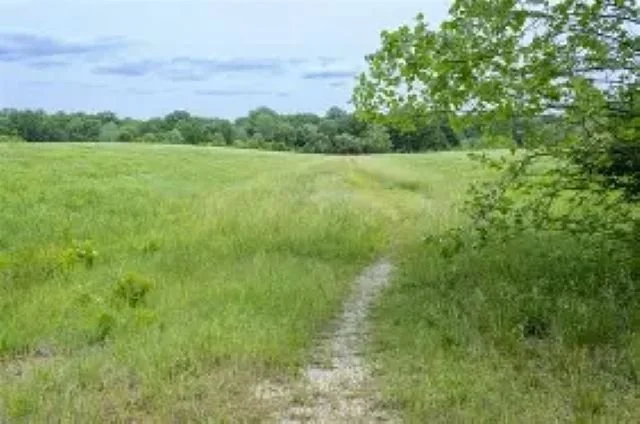 Faded dirt road crossing a grassy field at the former site of Times Beach, Missouri, with trees lining the Meramec River in the distance at Route 66 State Park.