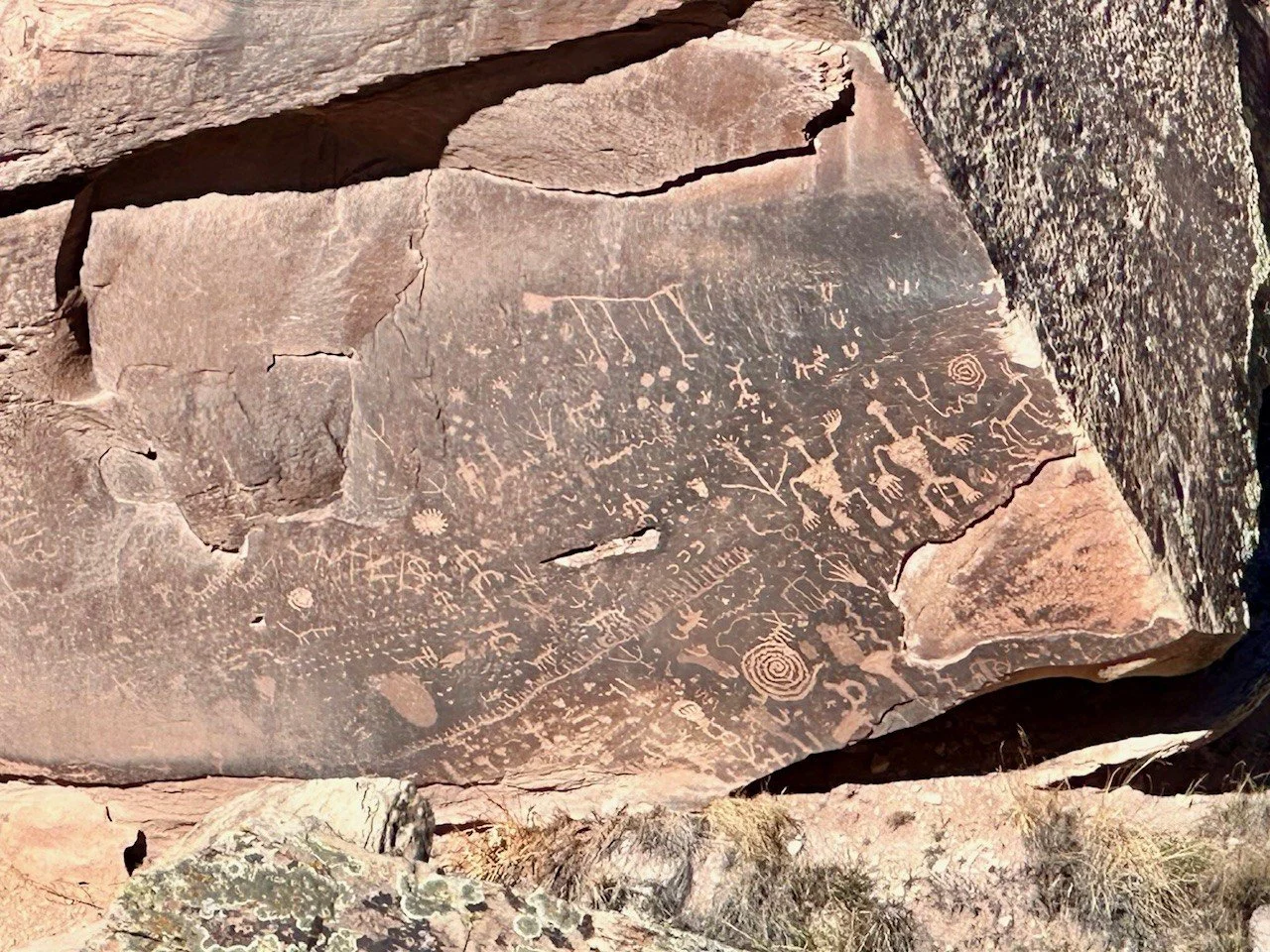 Petroglyphs at Newspaper Rock in Petrified Forest National Park, a dense cluster of ancient carvings that share stories from travelers who passed through this desert long before Route 66.