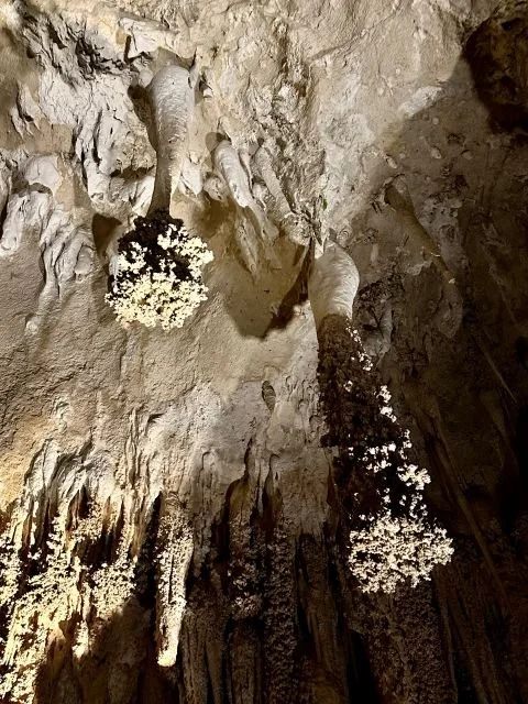 Stalactites and stalagmites with cauliflower-like mineral formations inside Carlsbad Caverns National Park.