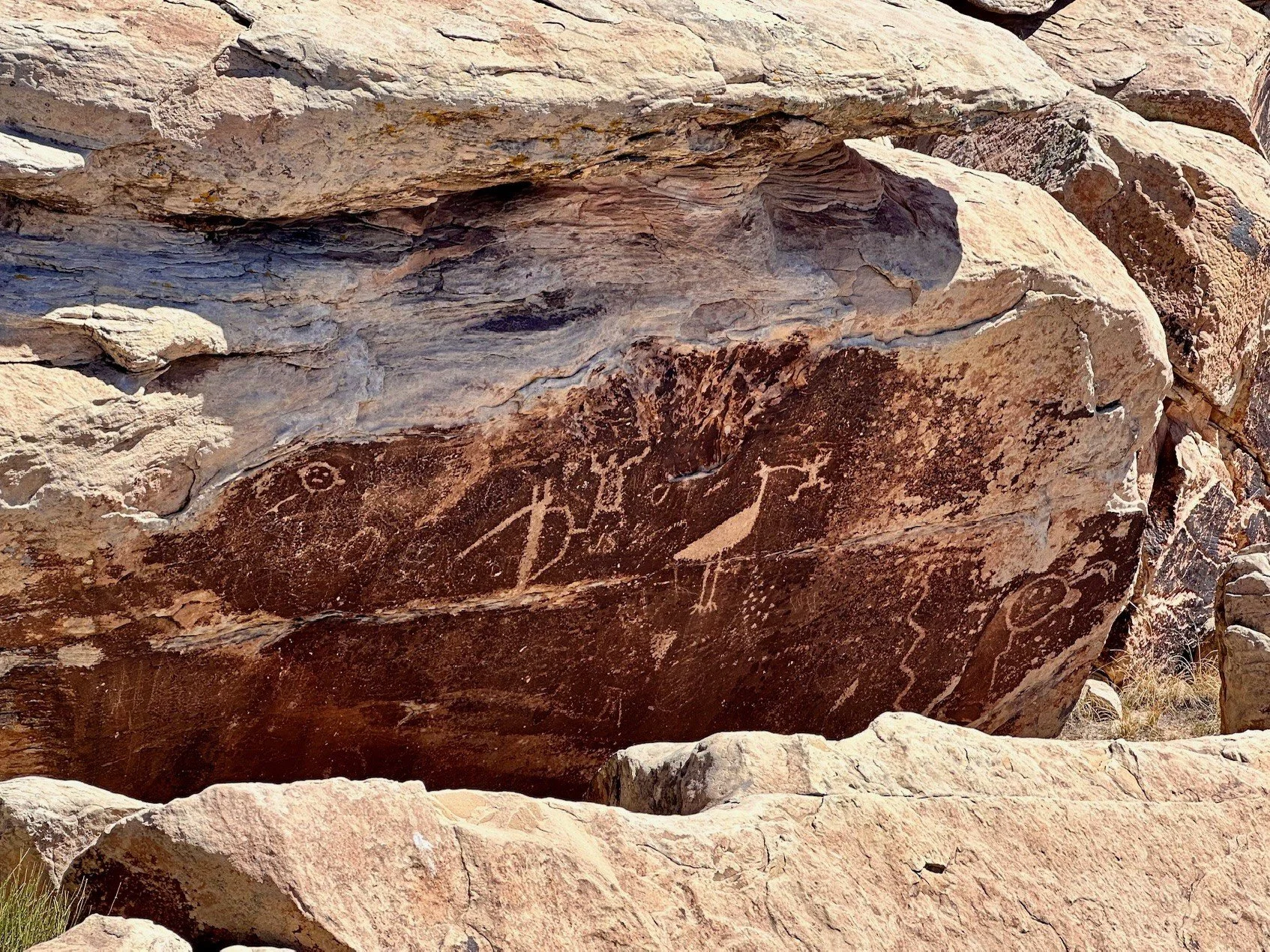 Ancient petroglyphs etched into dark desert boulders near Puerco Pueblo in Petrified Forest National Park, offering a glimpse into the stories carved here long before modern travelers passed through.