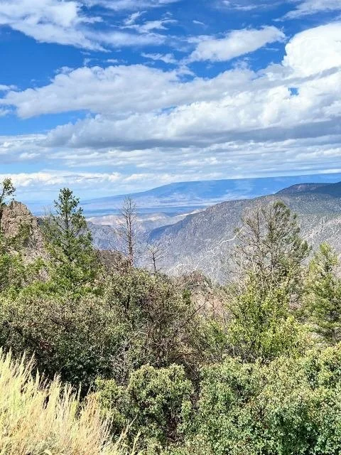 Black Canyon of the Gunnison National Park