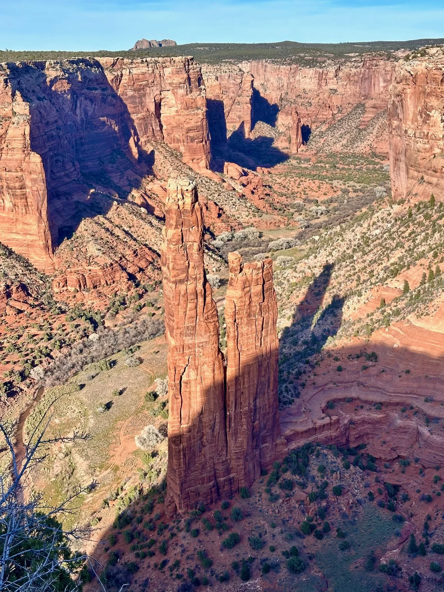 View of Spider Rock from Spider Rock Overlook at Canyon de Chelly National Monument, with the towering red sandstone spire rising above the canyon floor and surrounding cliffs.