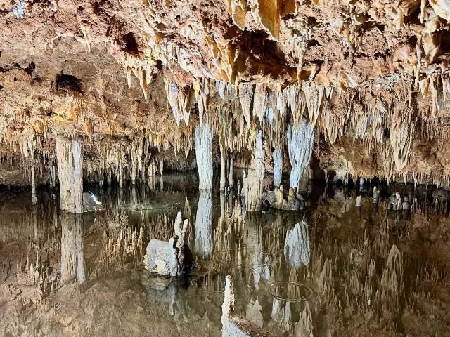 A reflective pool of water inside Meramec Caverns showing mirrored stalactite columns and the textured stalactite ceiling above.