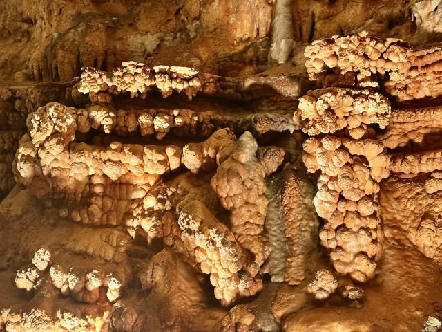 Broccoli-shaped calcite formations covering the ceiling and walls inside Meramec Caverns, with rounded, clustered mineral growths visible throughout the cave.
