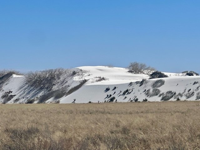 An area of dry, brown grass covers the ground in the foreground at White Sands National Park. Beyond the grass, white sand dunes rise gently, scattered with patches of desert vegetation, all set beneath an open sky.