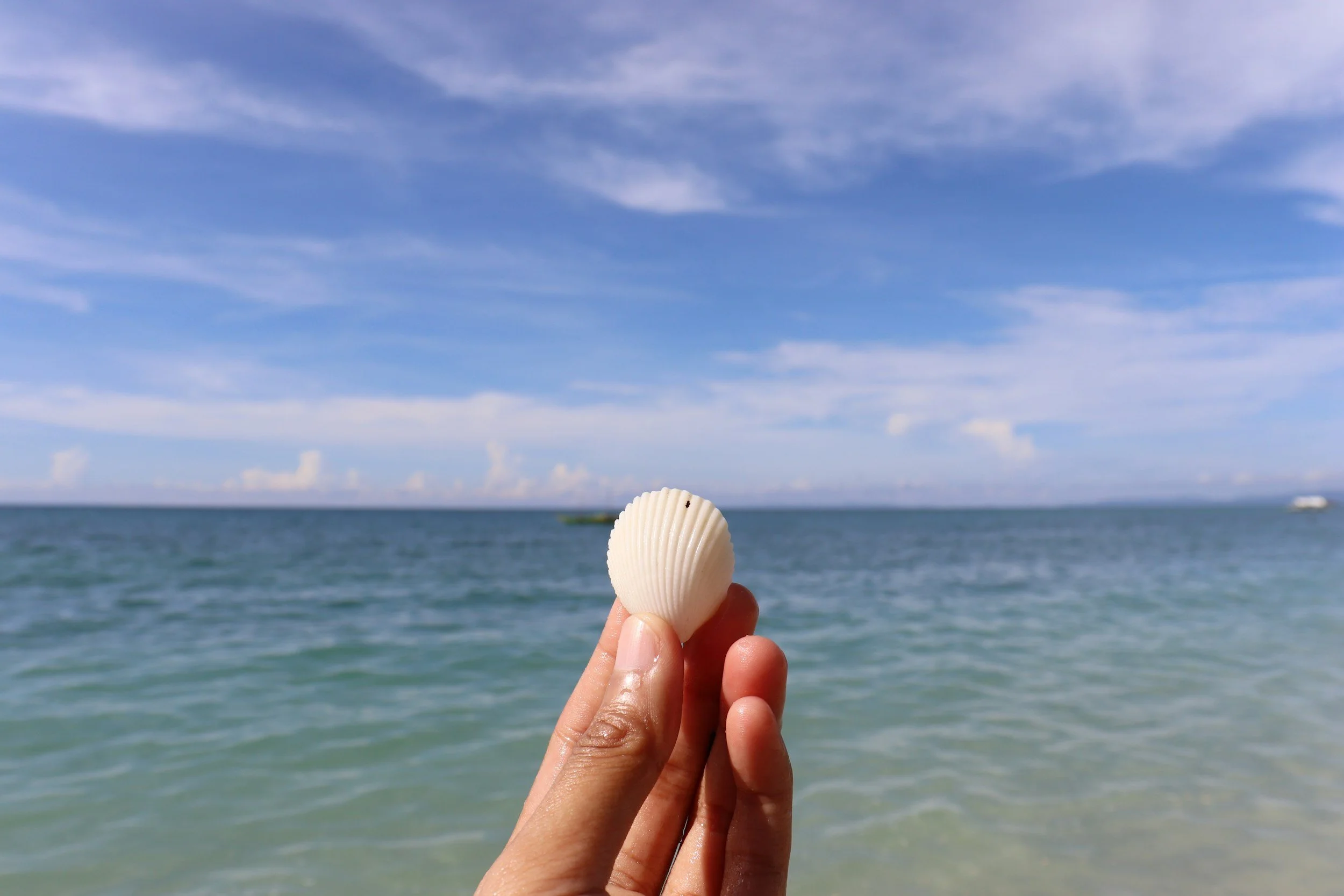 You Have a Pearl — Are You Ignoring It?