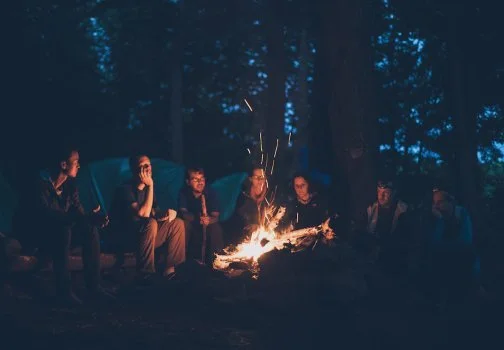 FIRE family