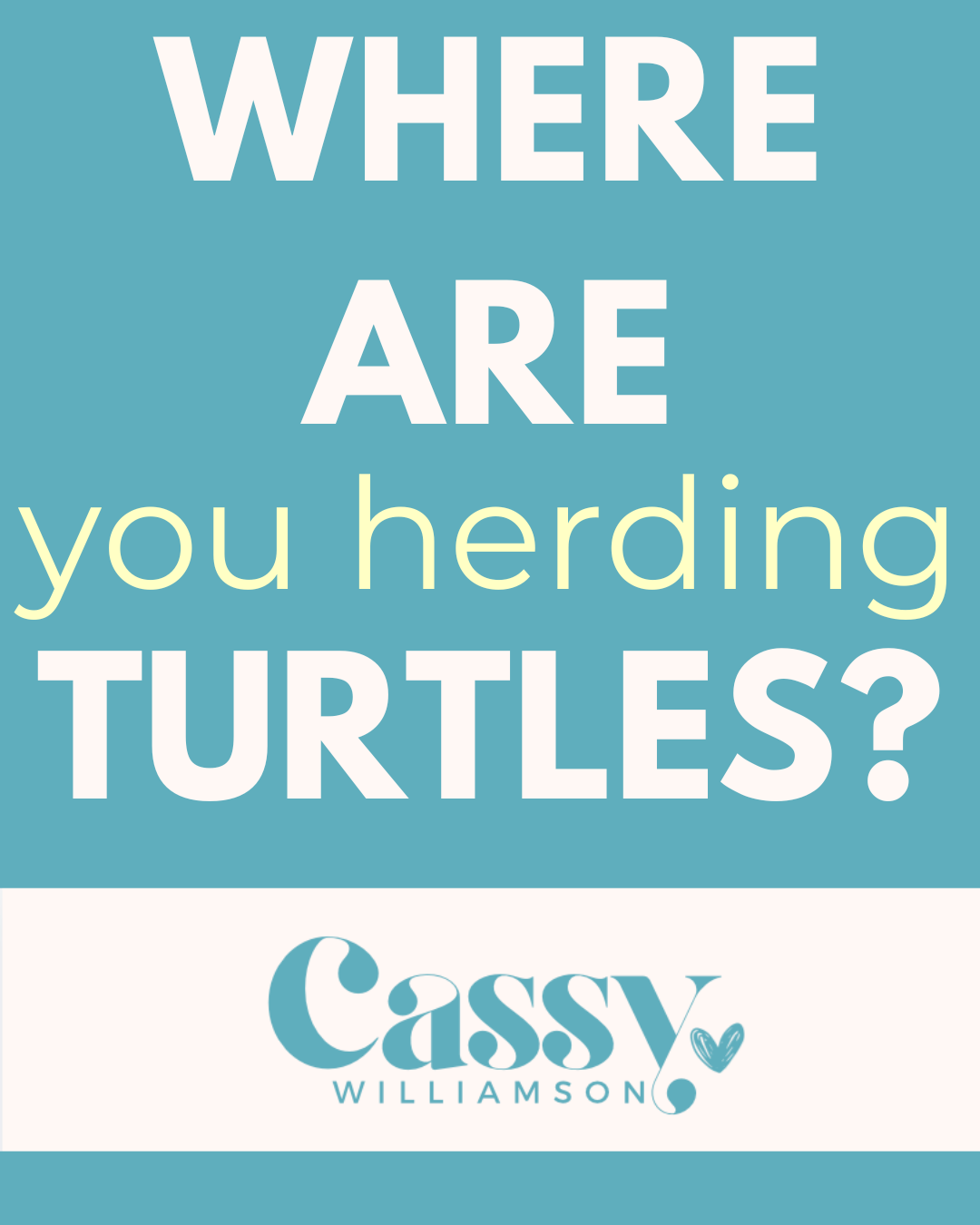 Where are you herding turtles?