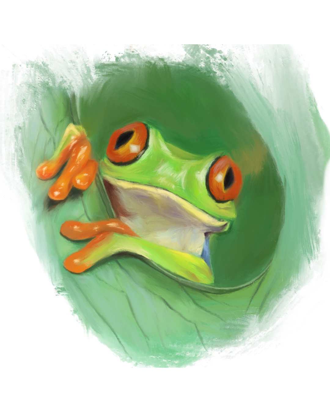 Tree Frog