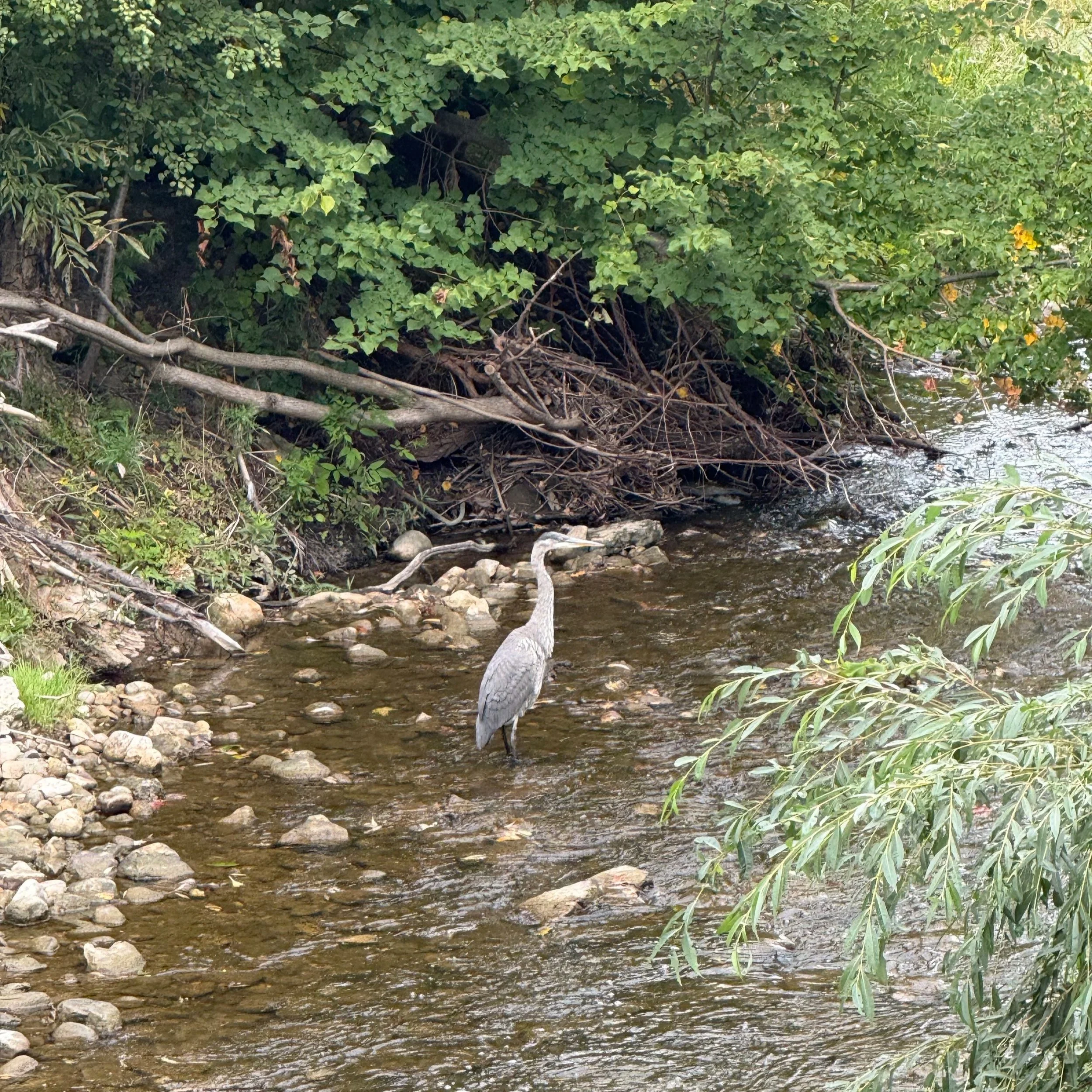 Channel Migration