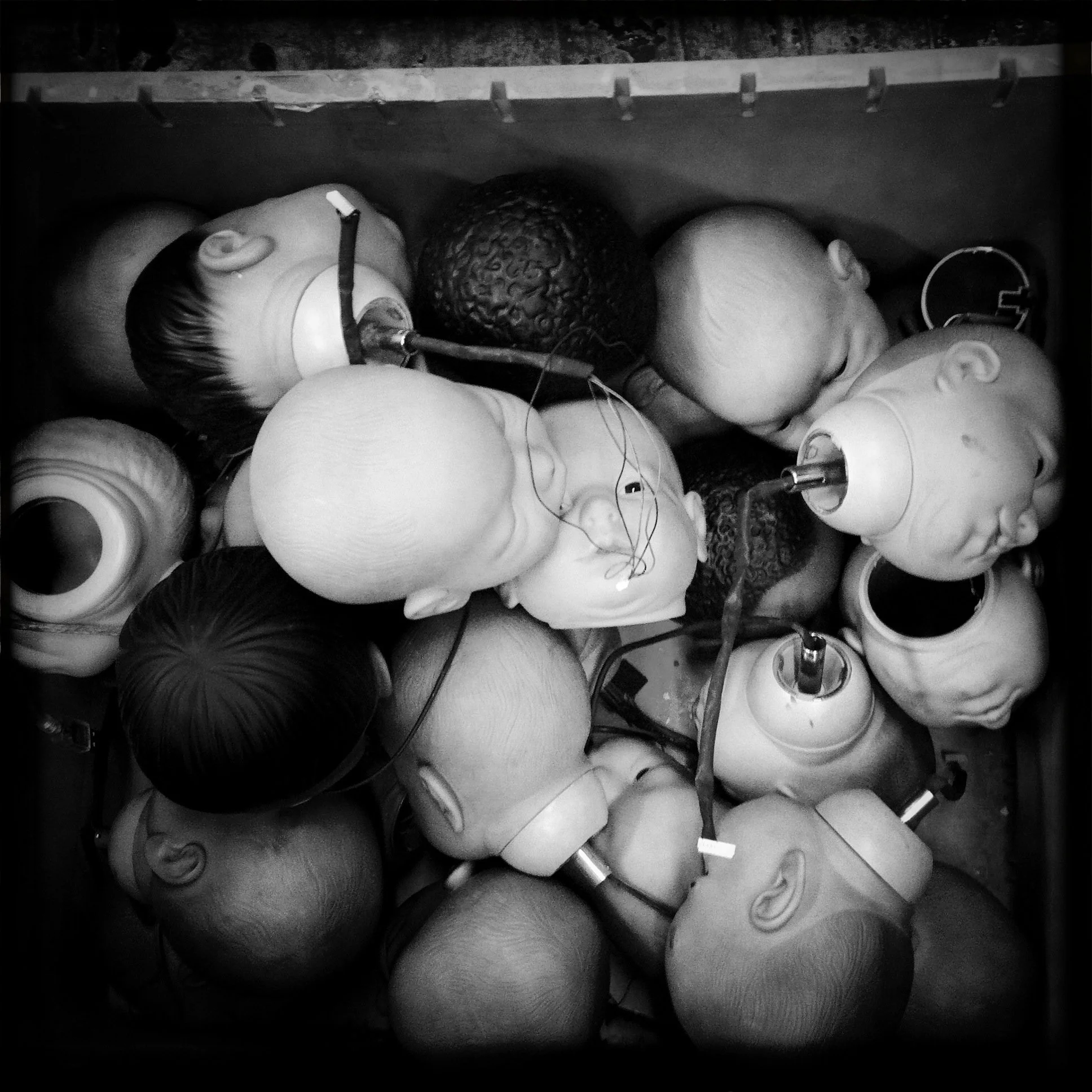 Baby Heads - Surplus