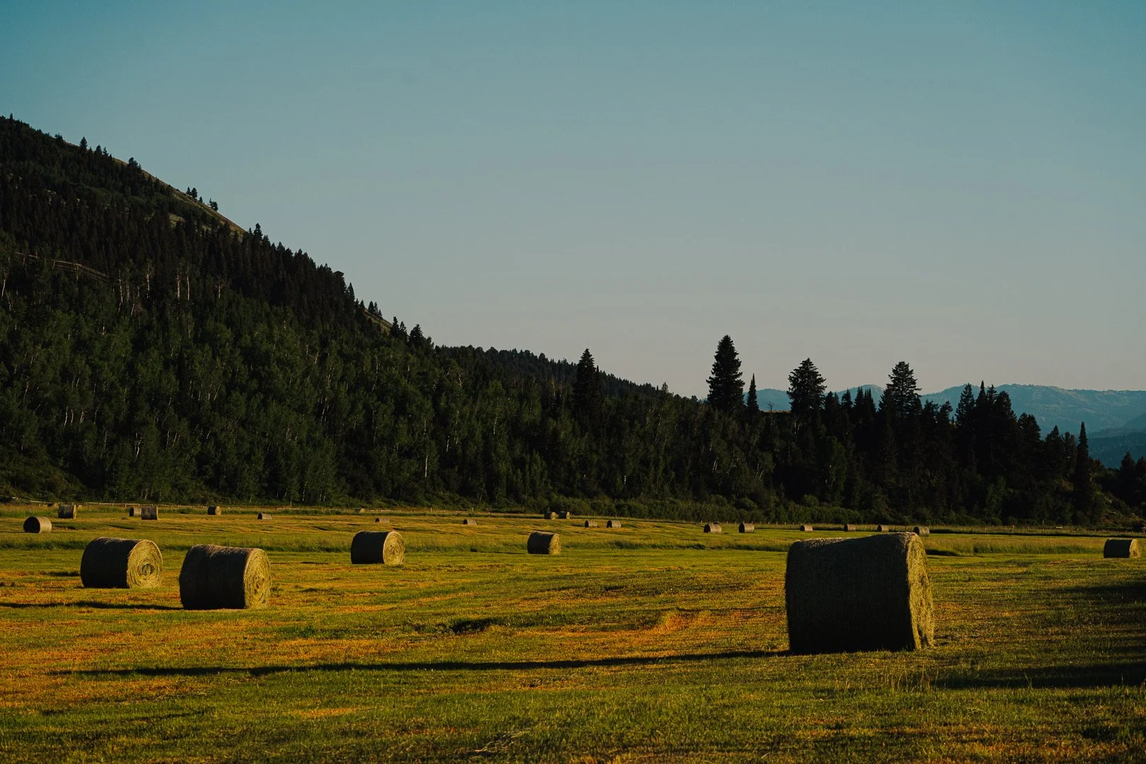 Events — Mead Ranch Beef