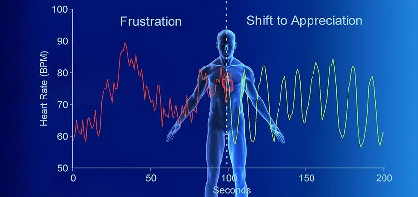 Biofeedback y condiciones relacionadas al estrés: cómo entrenar tu sistema nervioso