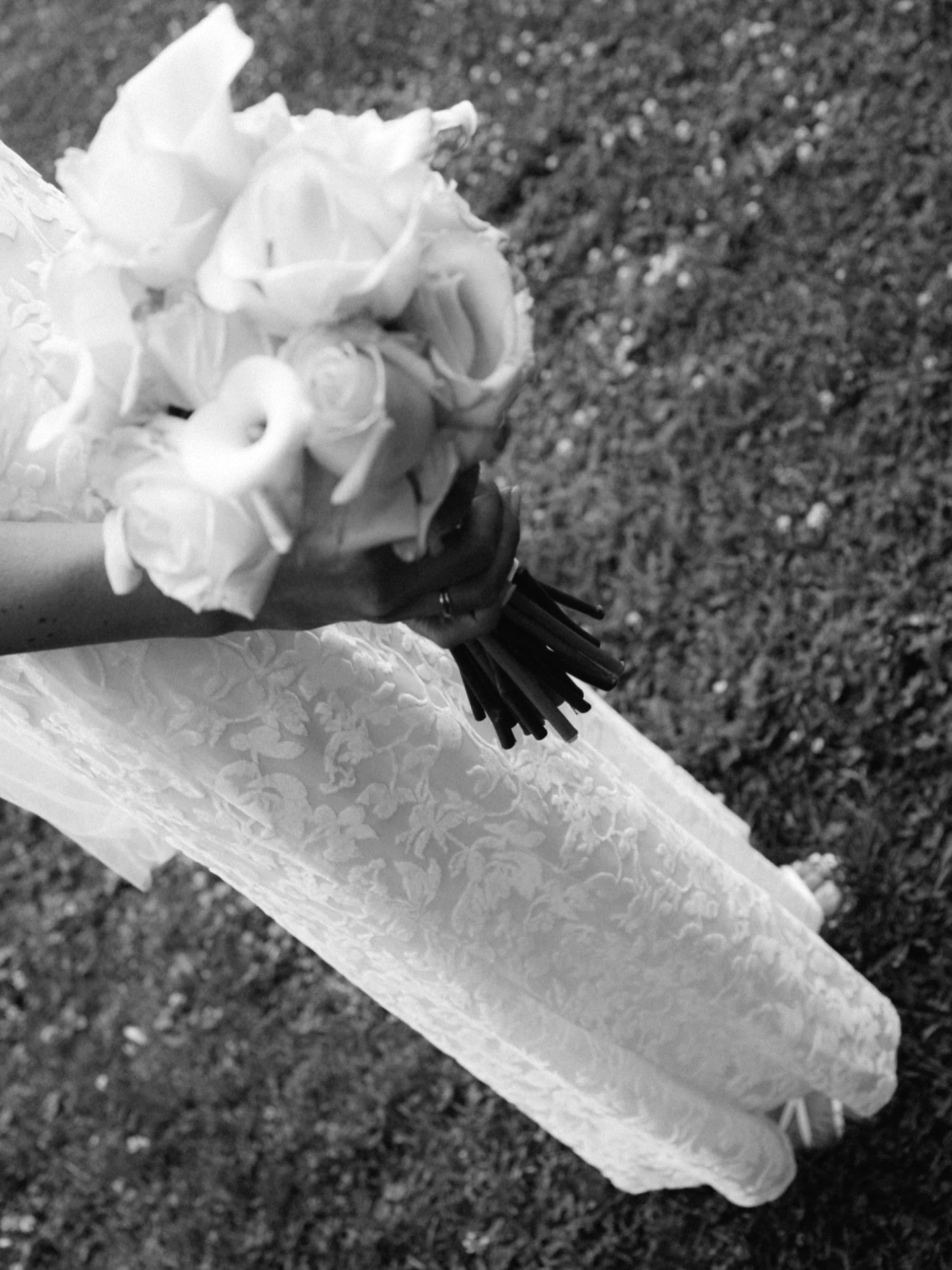 minimal bridal bouquet 

#weddingbouquets #bridal #brautstrau&szlig; #hochzeitsfotografie #hochzeitsfotografenhamburg #hannover #hochzeit2025 #weddingphotography #bwphotograpy #fujifilmphotography #blurry