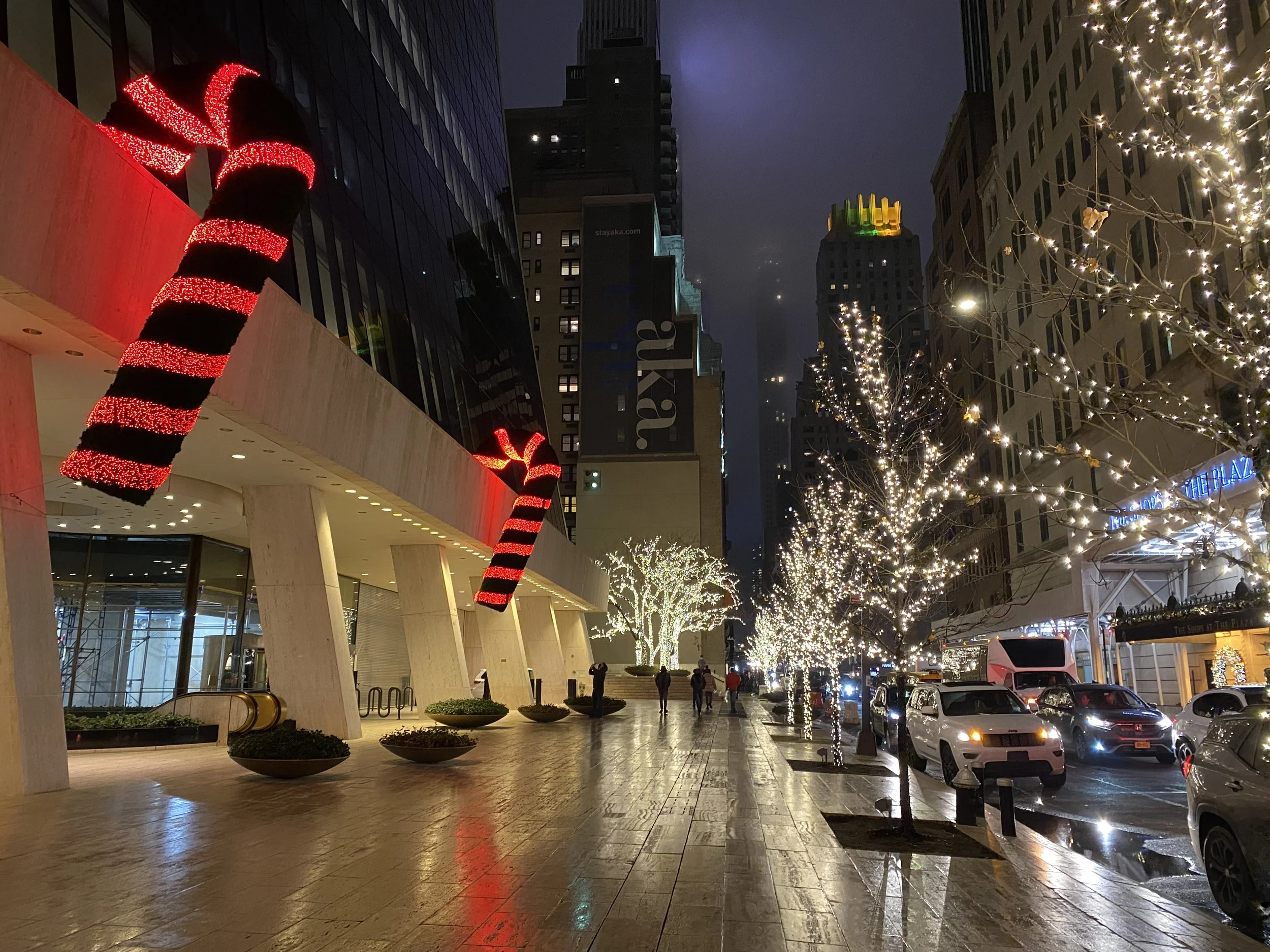 The Holiday Syndrome: Managing Loneliness Among Good Cheer