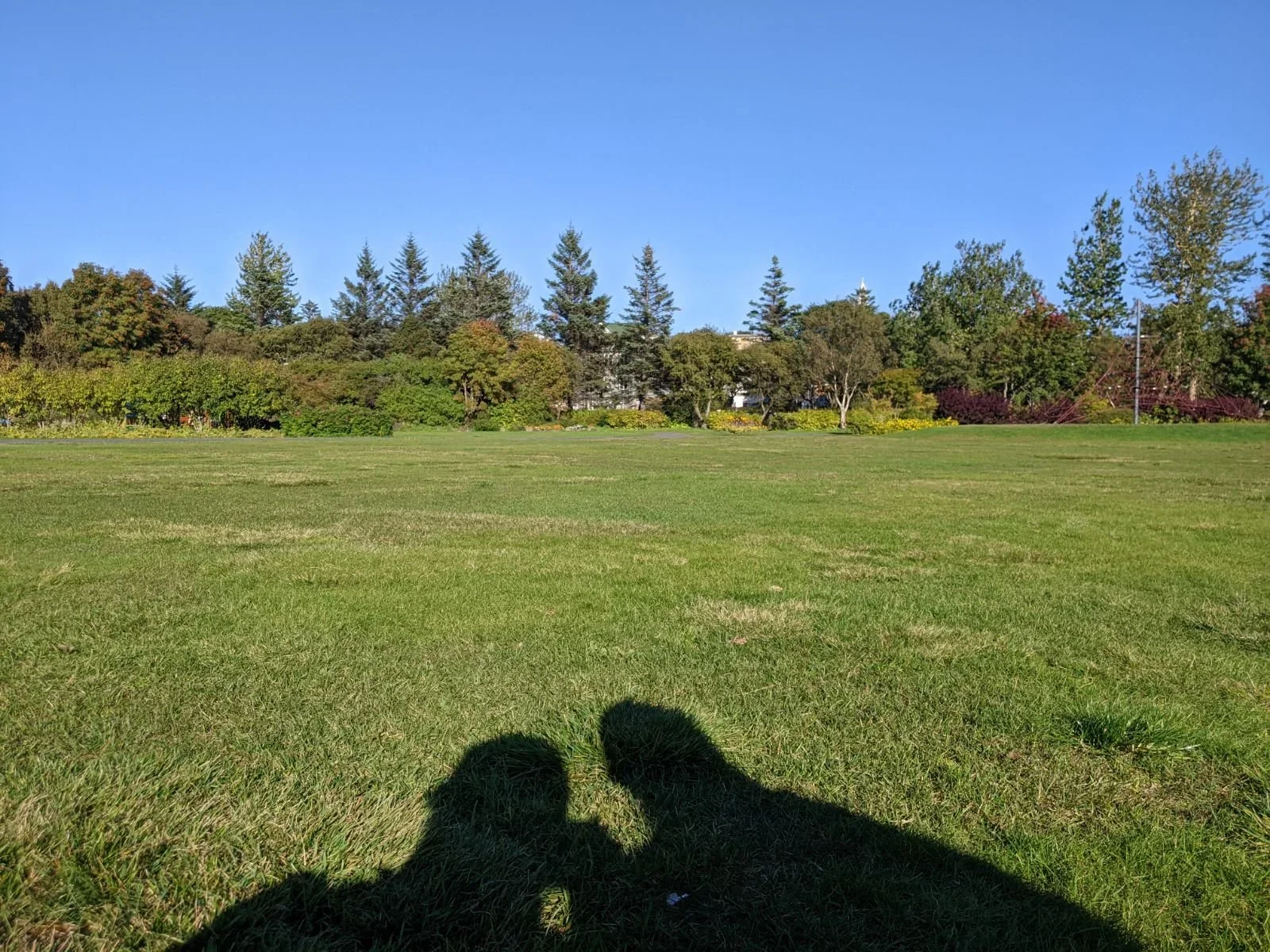 Open grassy field with trees in the background under a clear blue sky. Shadows of two people are visible on the grass in the foreground.