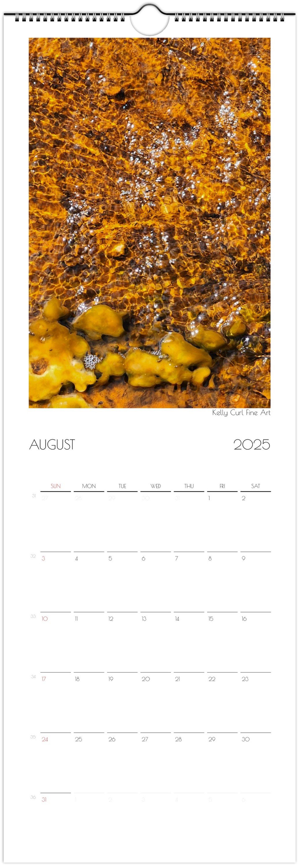month-8.jpeg