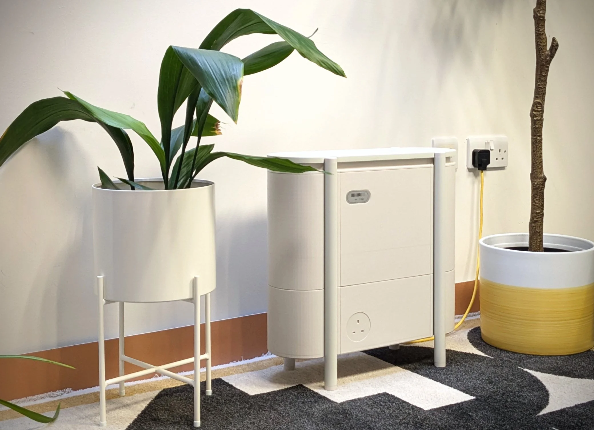Windfall plug-in home battery positioned next to two houseplants against a clean white wall in a flat.