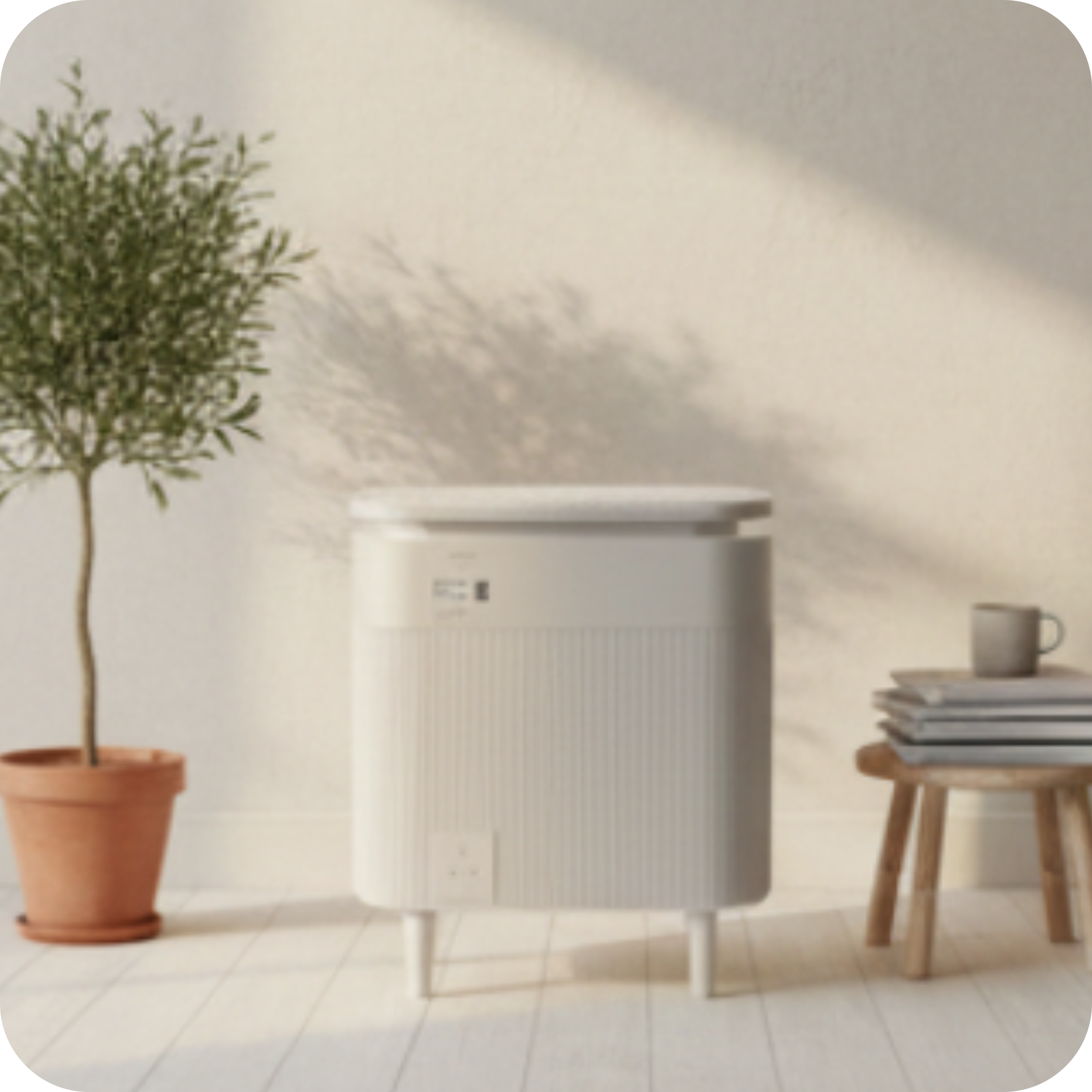 room 6 - rounded - socket revised.png