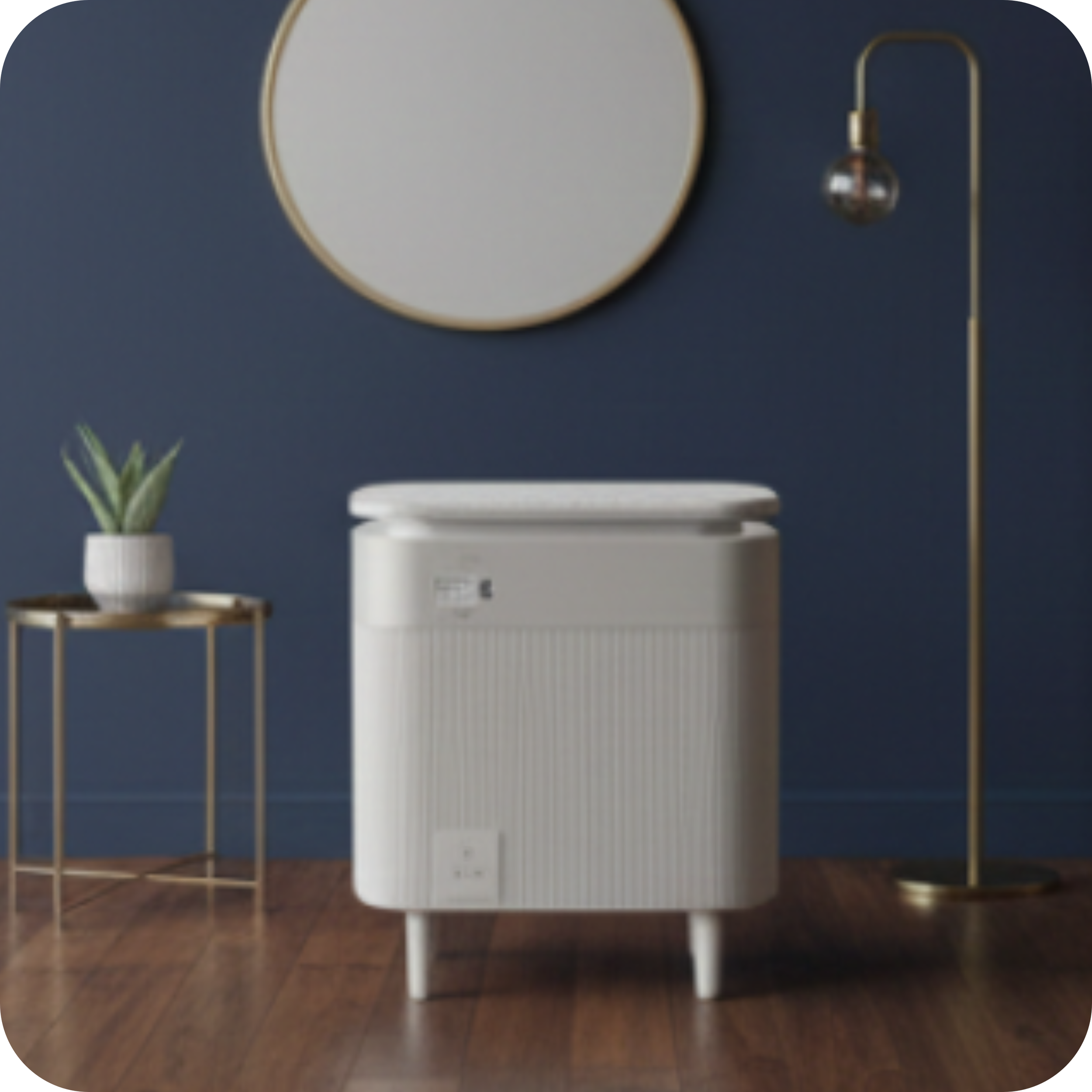 room 5 - rounded - socket revised.png