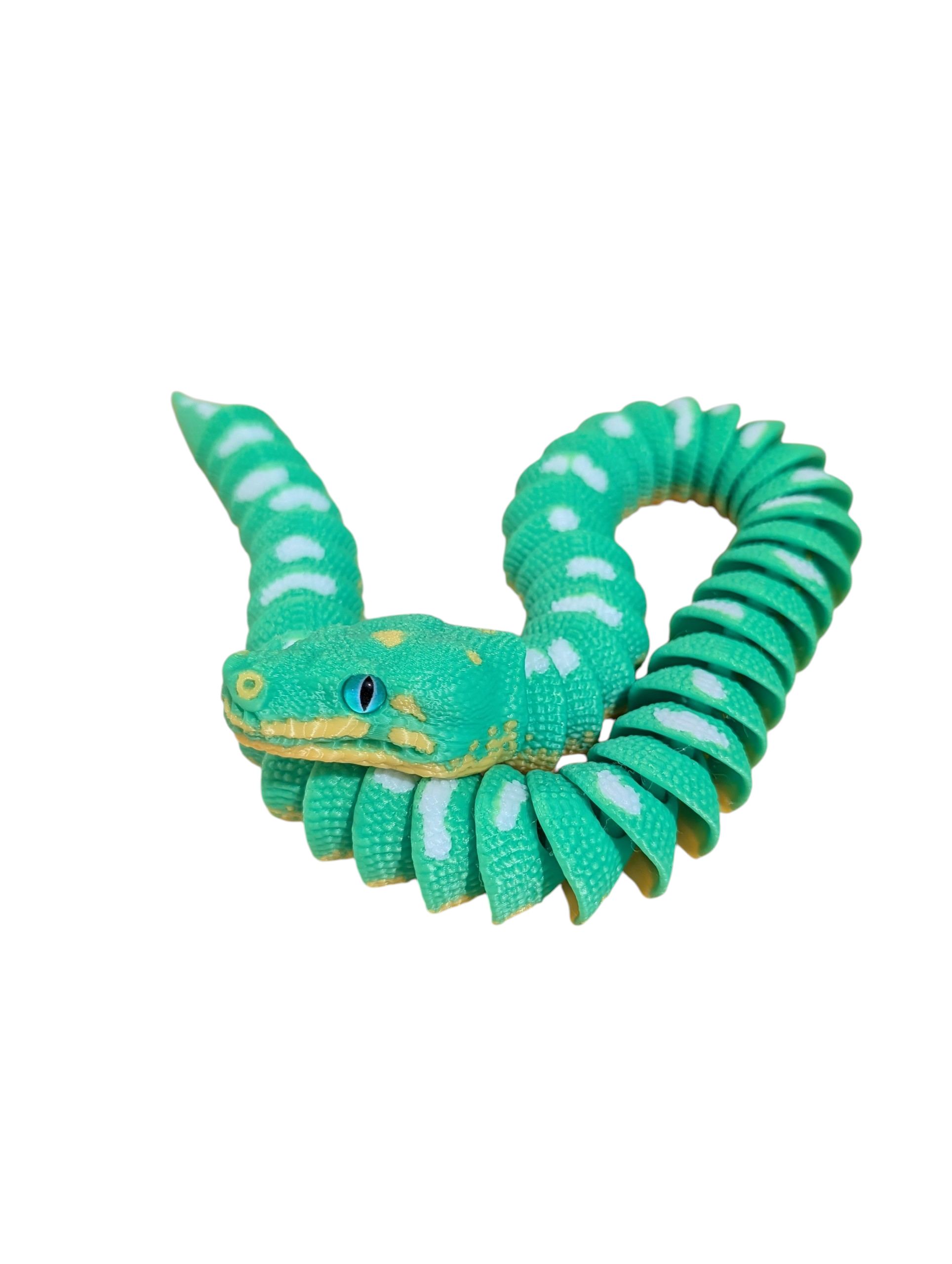 Green Tree Python - $25 - LS0040