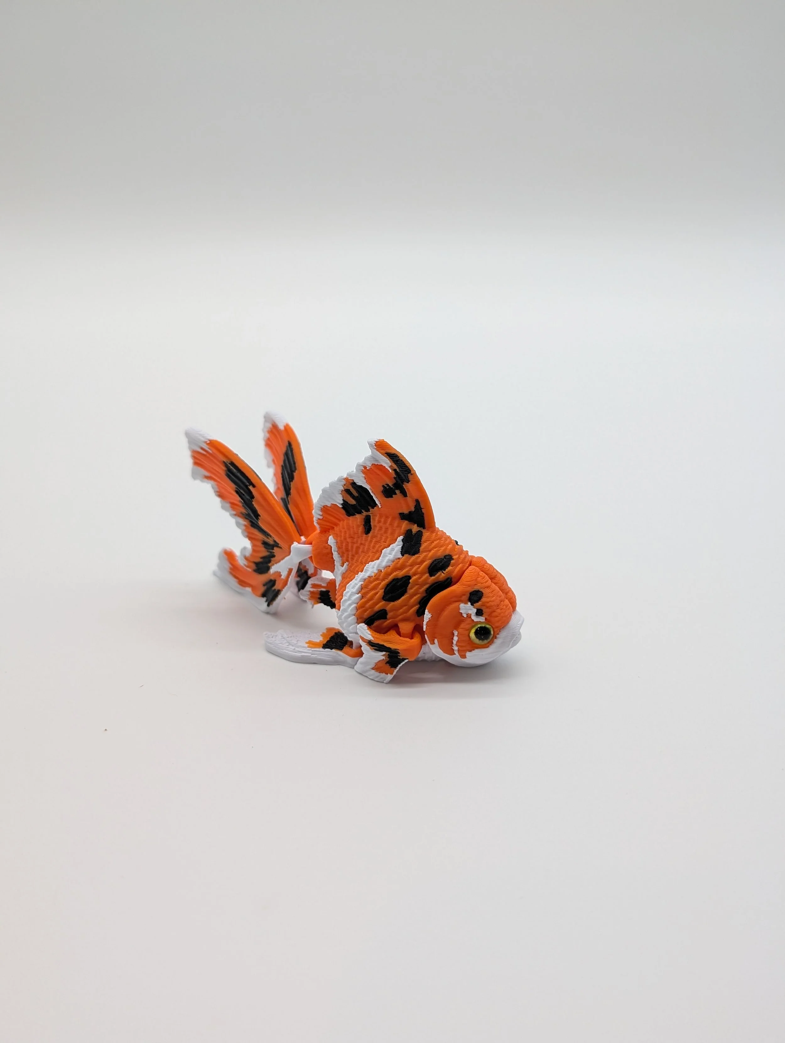 PXL_20260918_004709705.jpg