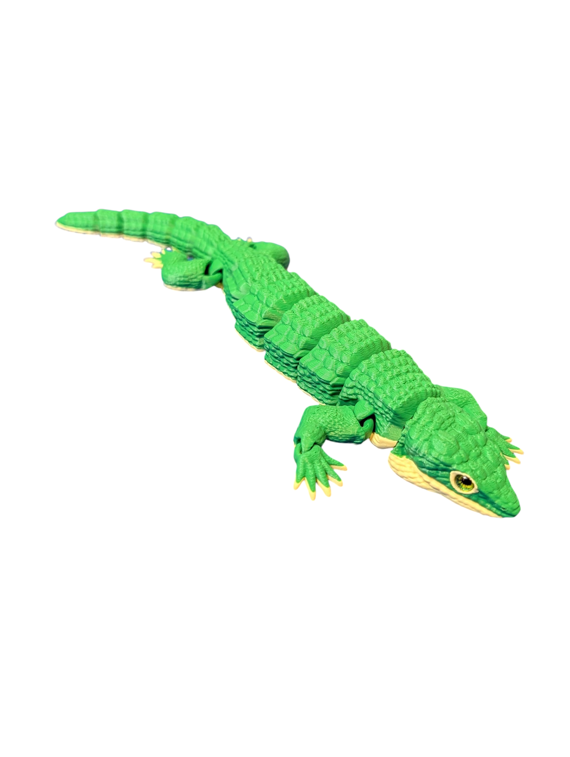 Mexican Alligator Lizard - $15 - LS0034