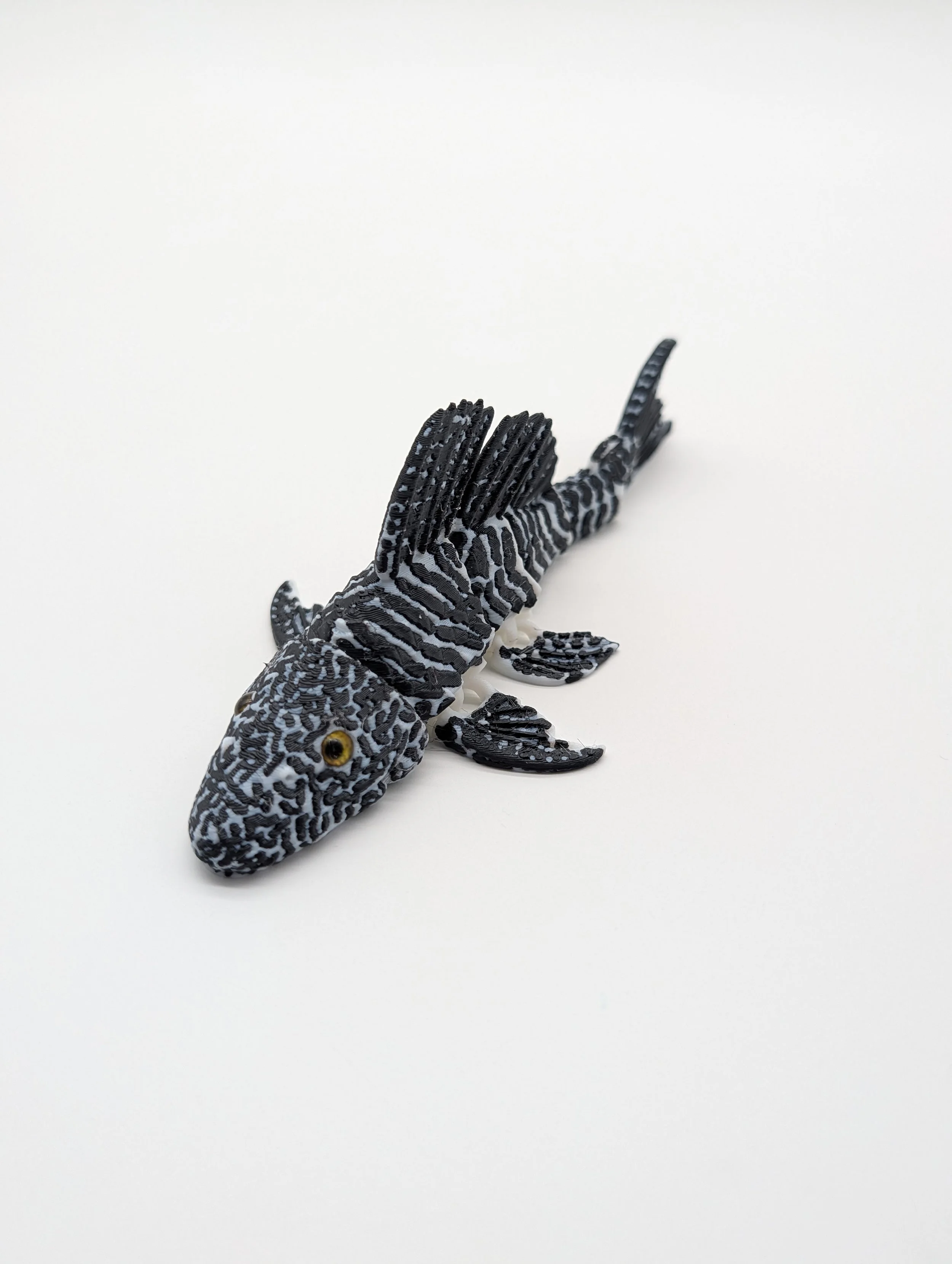 Pleco - $15 - LR0028