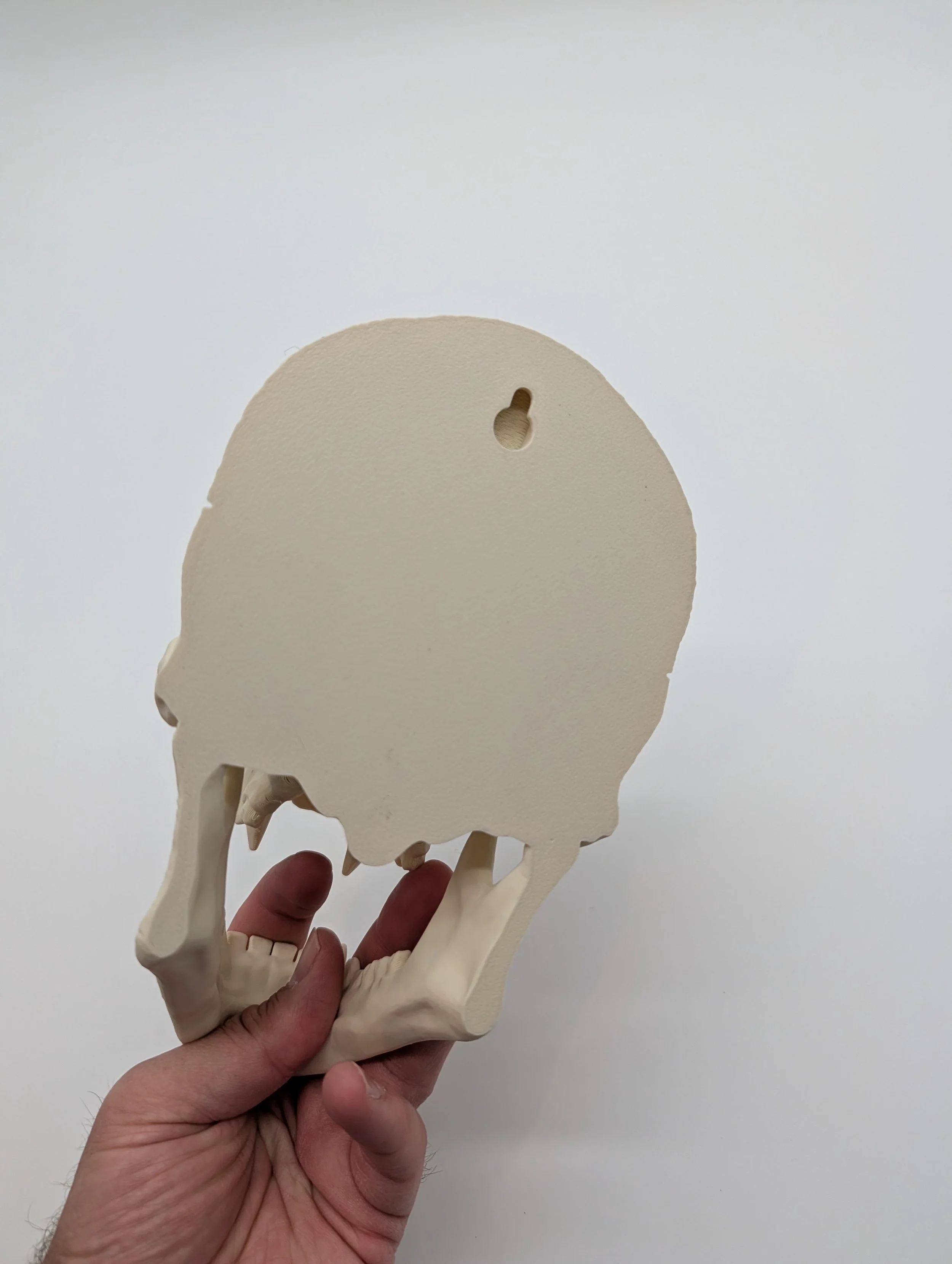 PXL_20260917_163132446.jpg