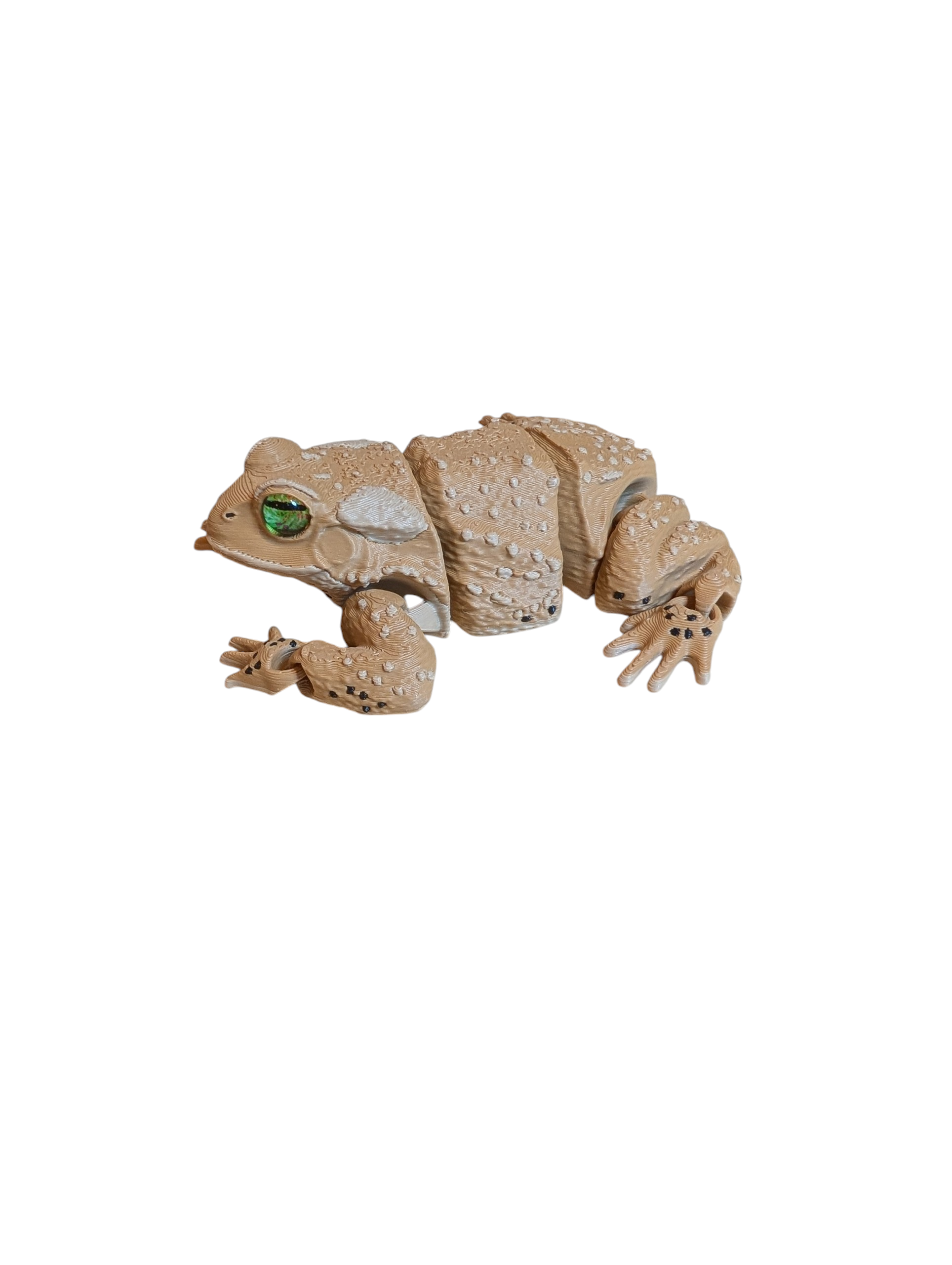 American Toad - $10 - LS0041