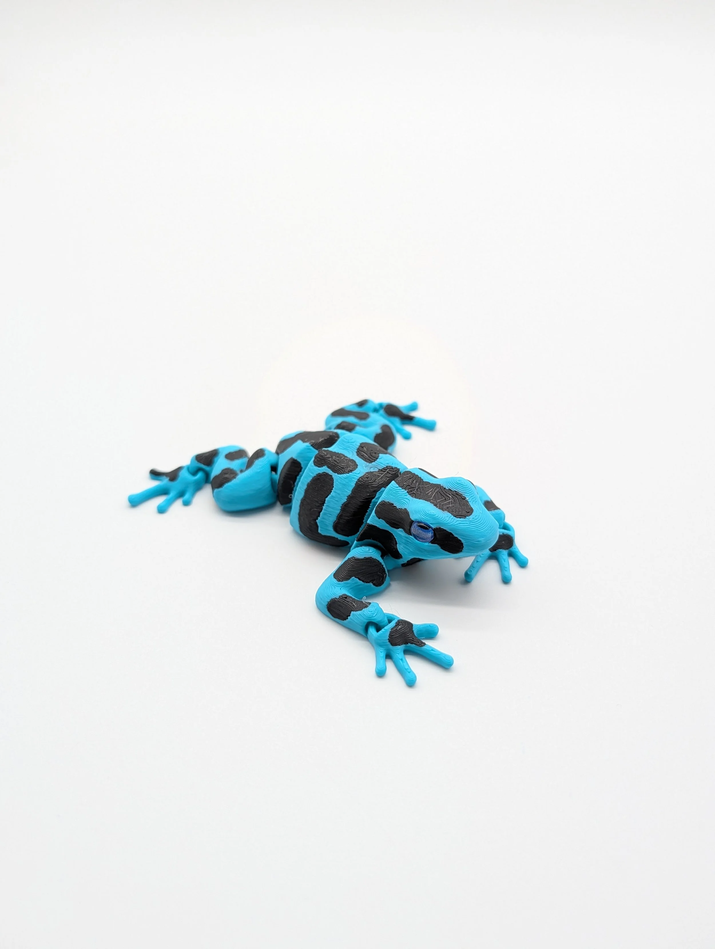 Poison Dart Frog (Black and Blue) - $15 - LR0021
