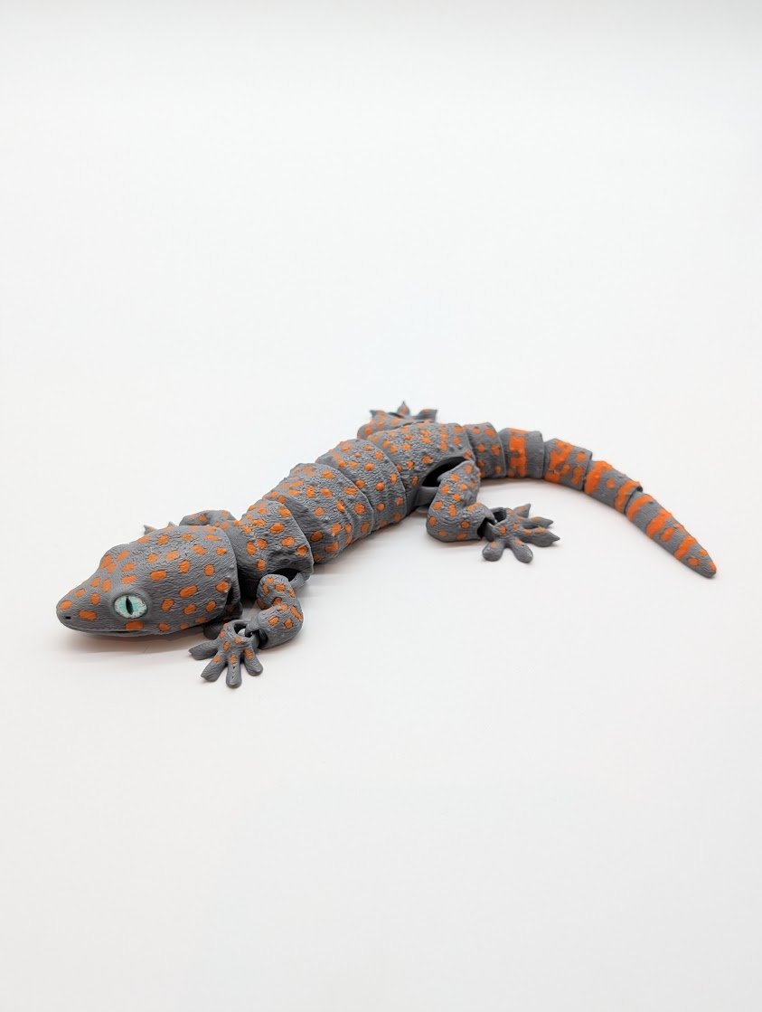 Tokay Gecko - $15 - LS0043