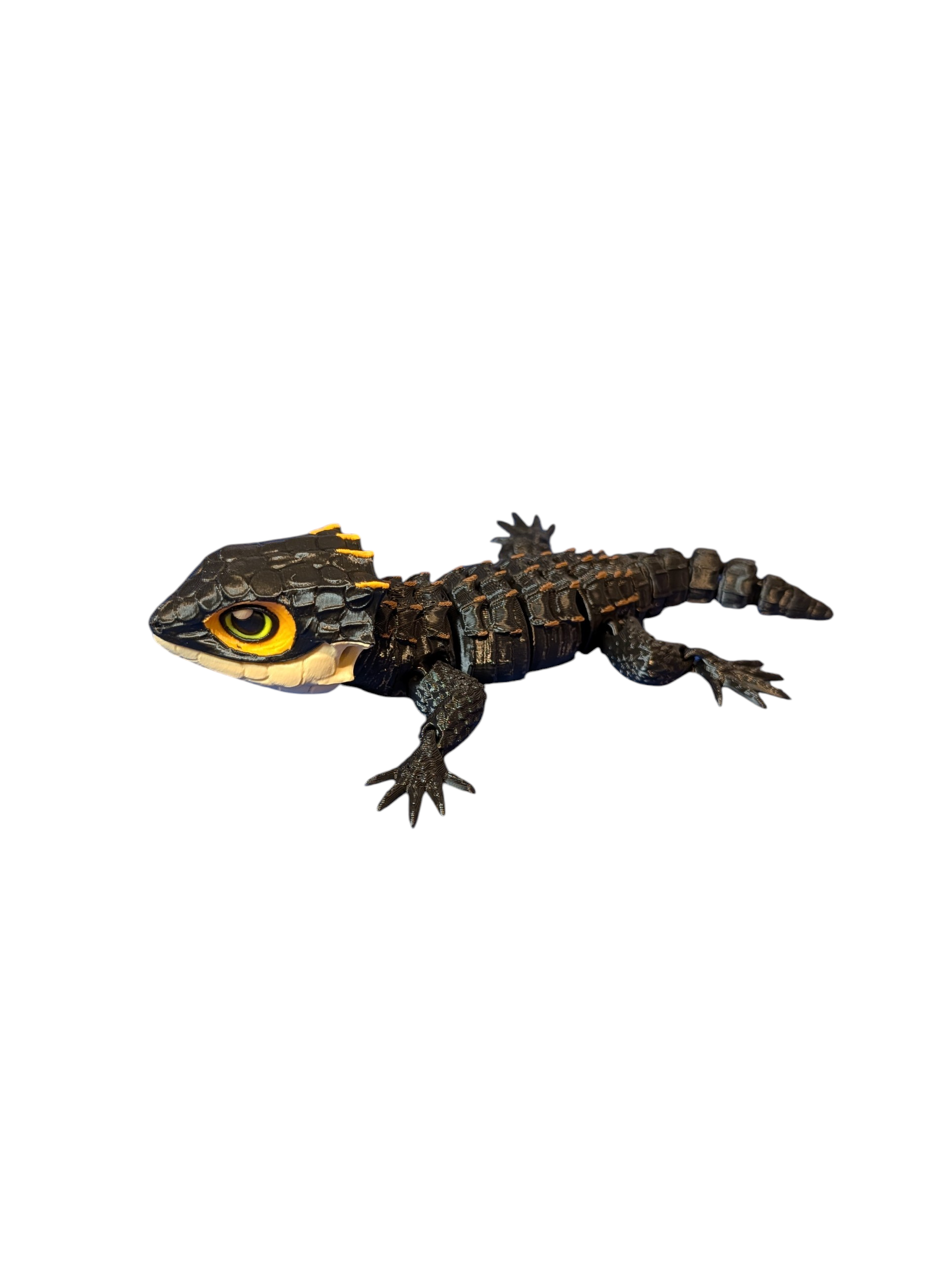 Red Eyed Skink - $15 - LSR0004