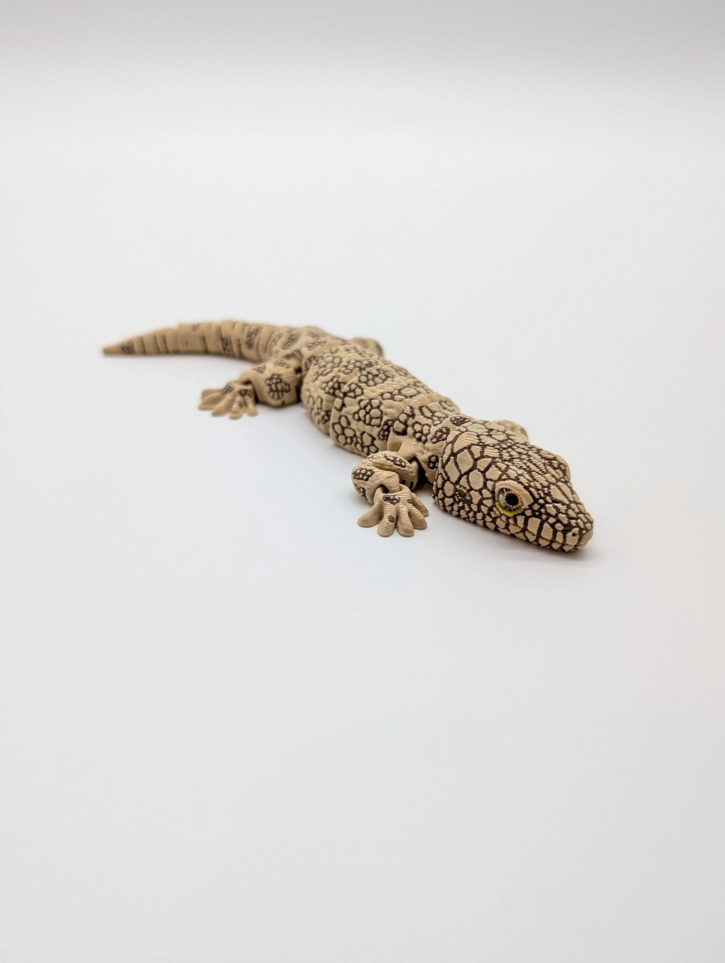 Wester Chameleon Gecko - SKU LS0045