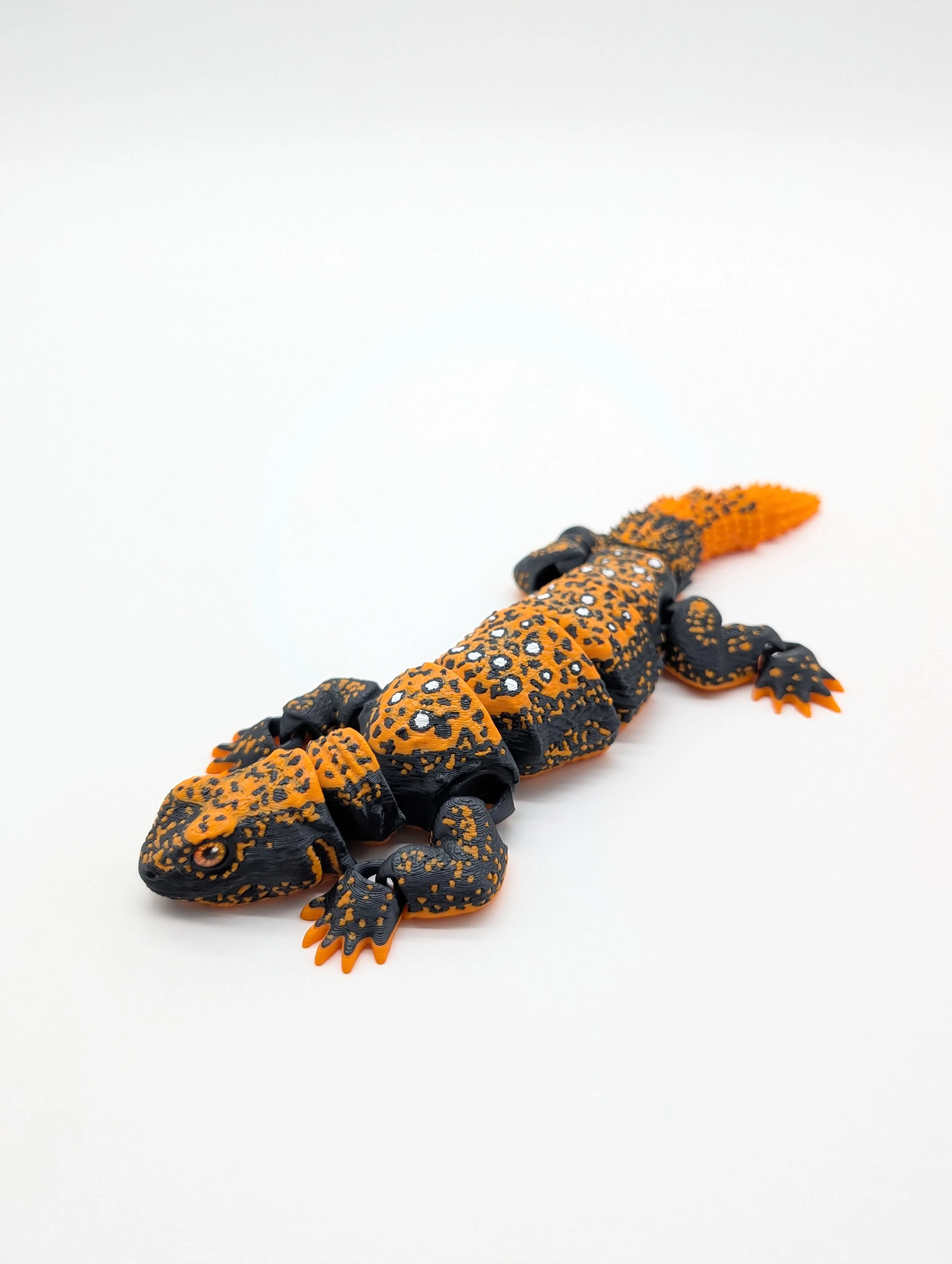 Uromastyx - $20 - LR0024