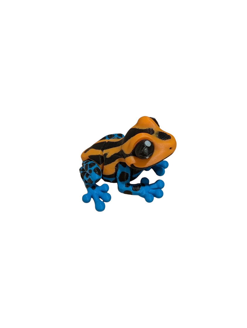 Poison Dart Frog - $5 - LC0007