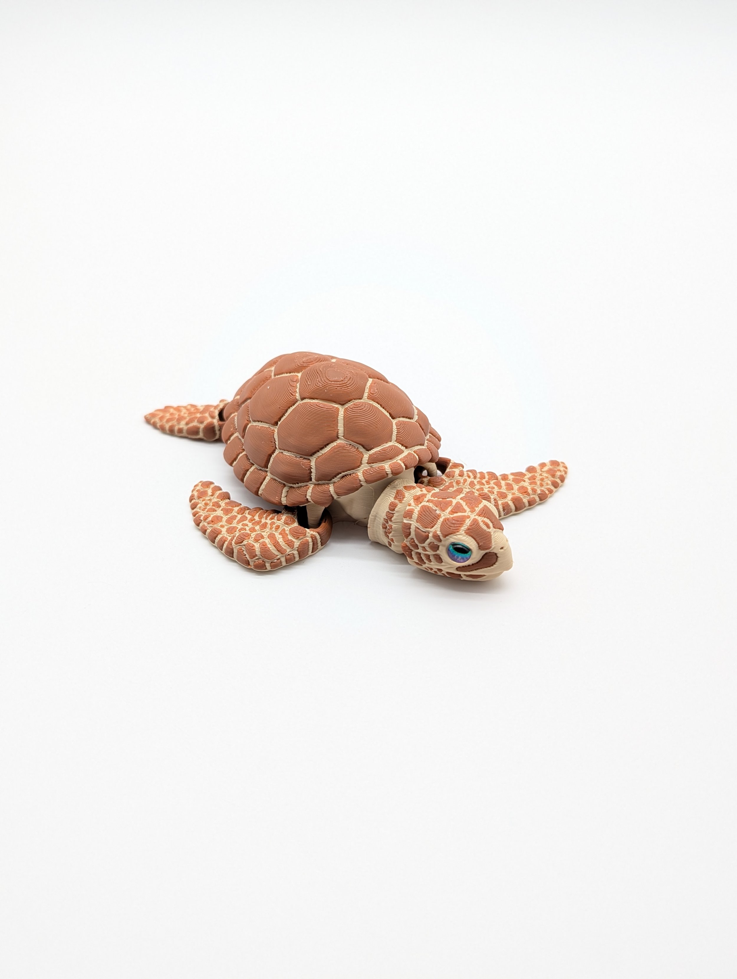 Sea Turtle - $15 - LR0025