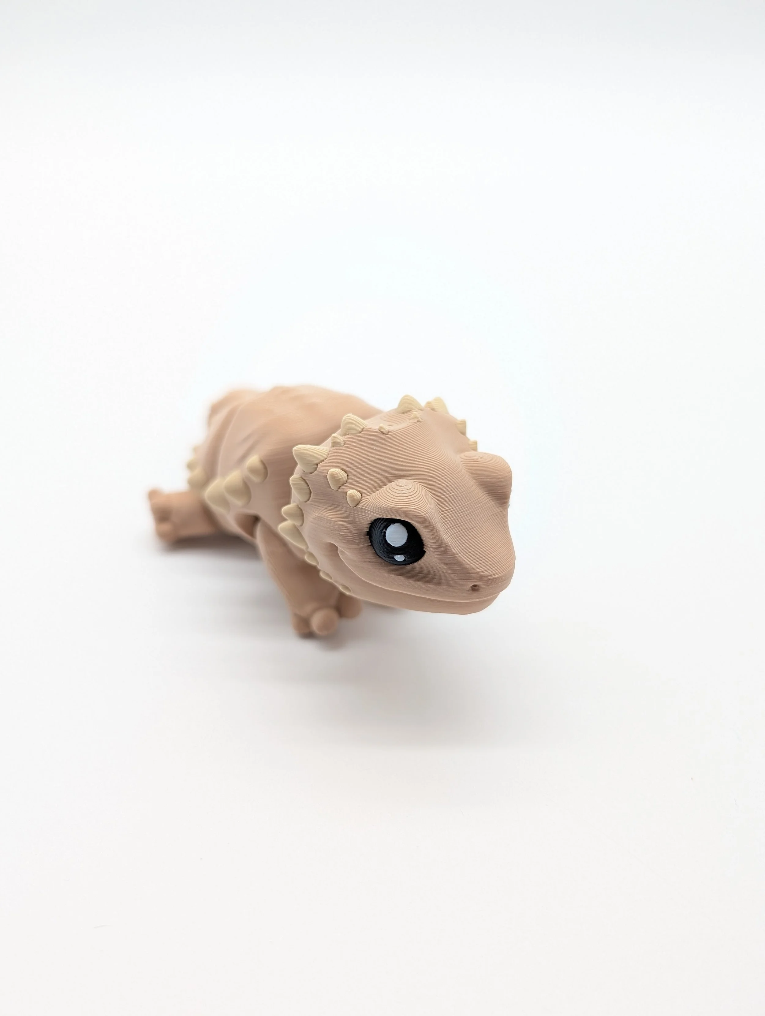 Bearded Dragon - $10 - LC0005