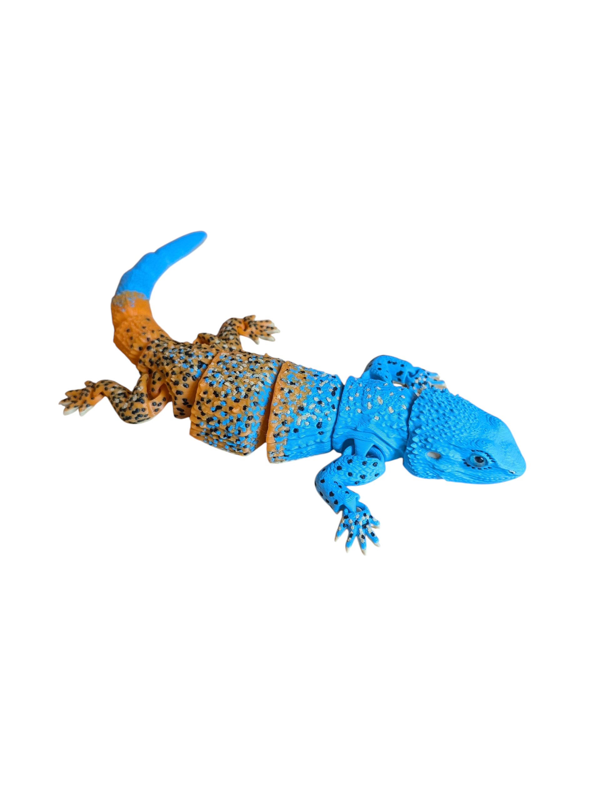Agama - $20 - LS0037