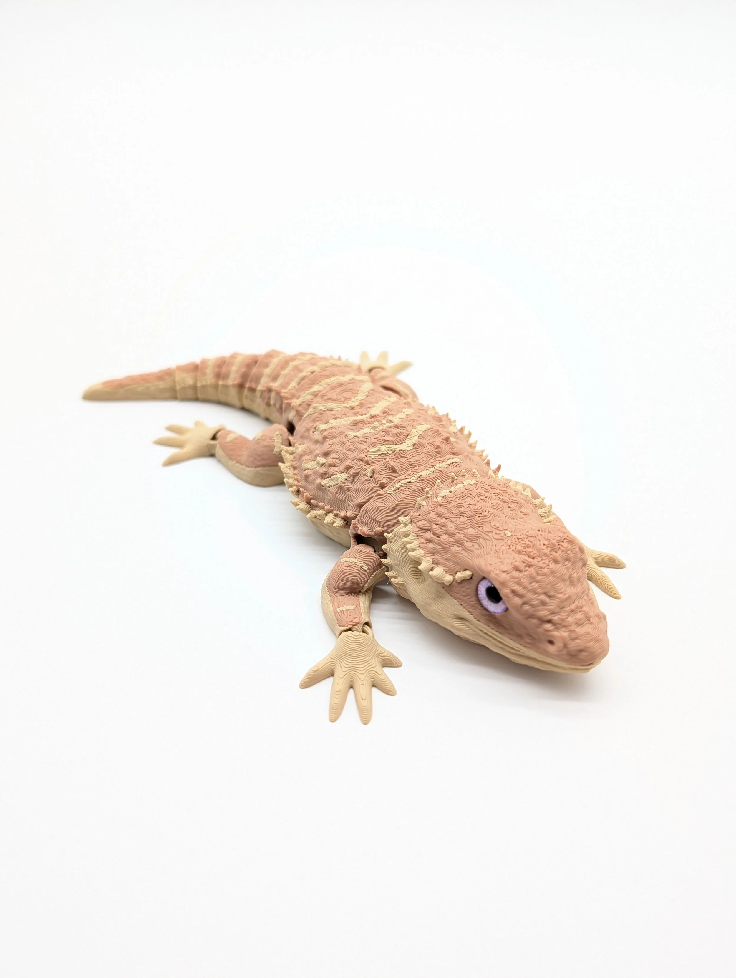 Bearded Dragon - $15 - LR0022