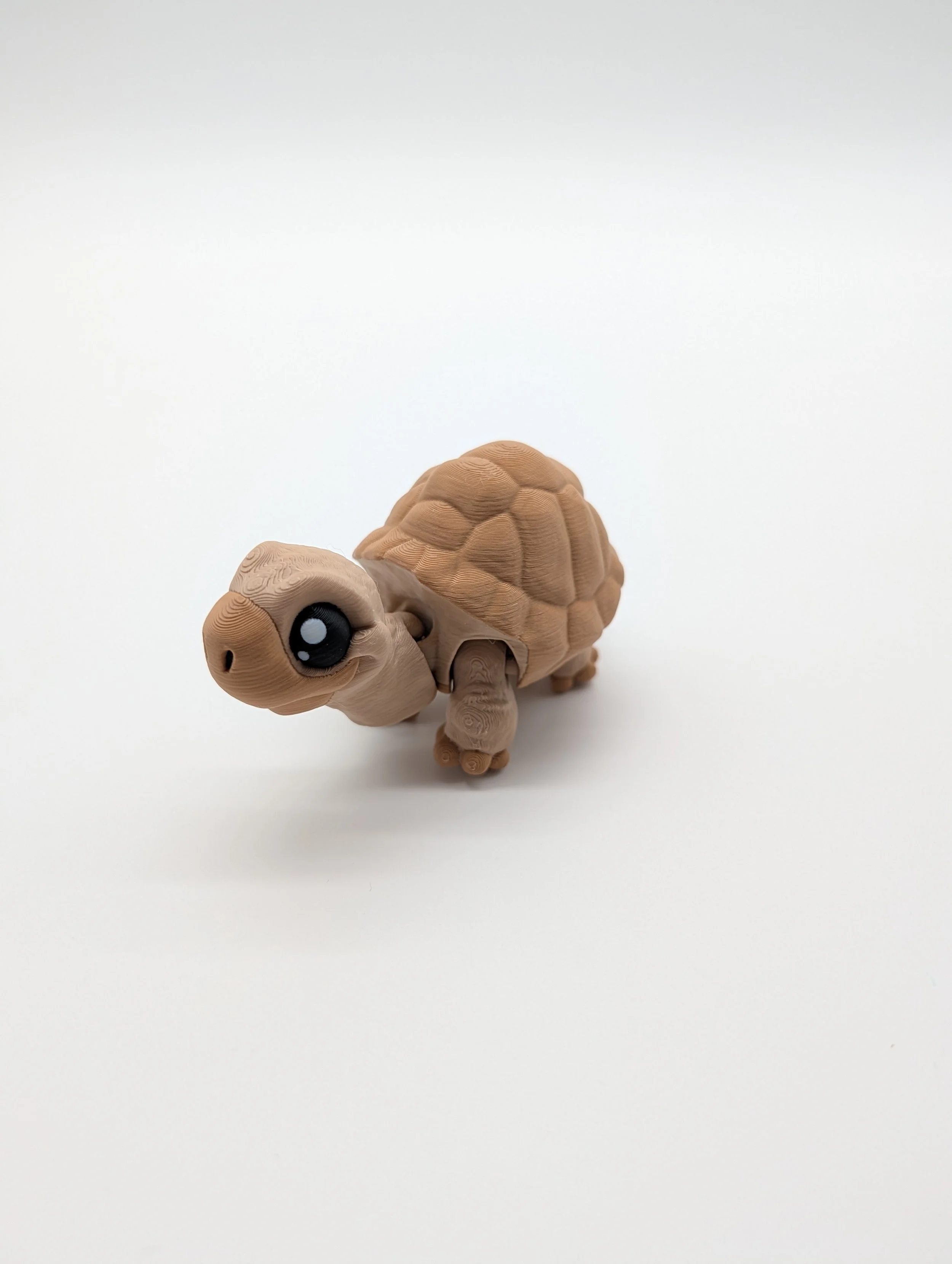 Tortoise - $10 - LC0002